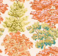 Hooked on Walls Scalamandré Central Park JV26039