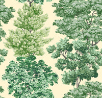 Hooked on Walls Scalamandré Central Park JV26040