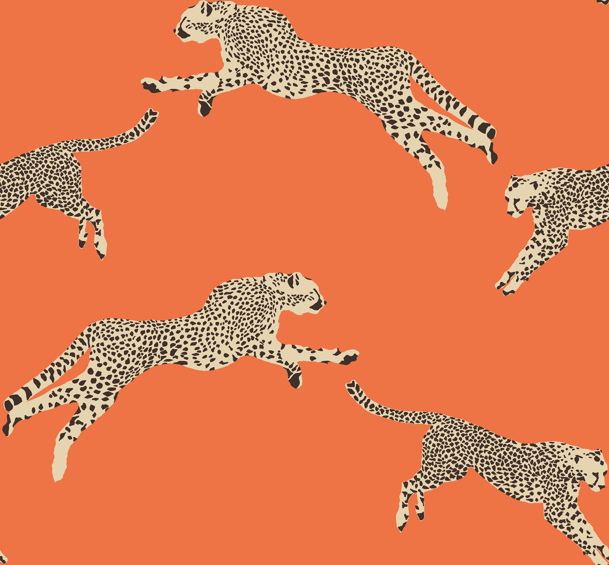 Hooked on Walls Scalamandré Leaping Cheetah JV26017 Behang