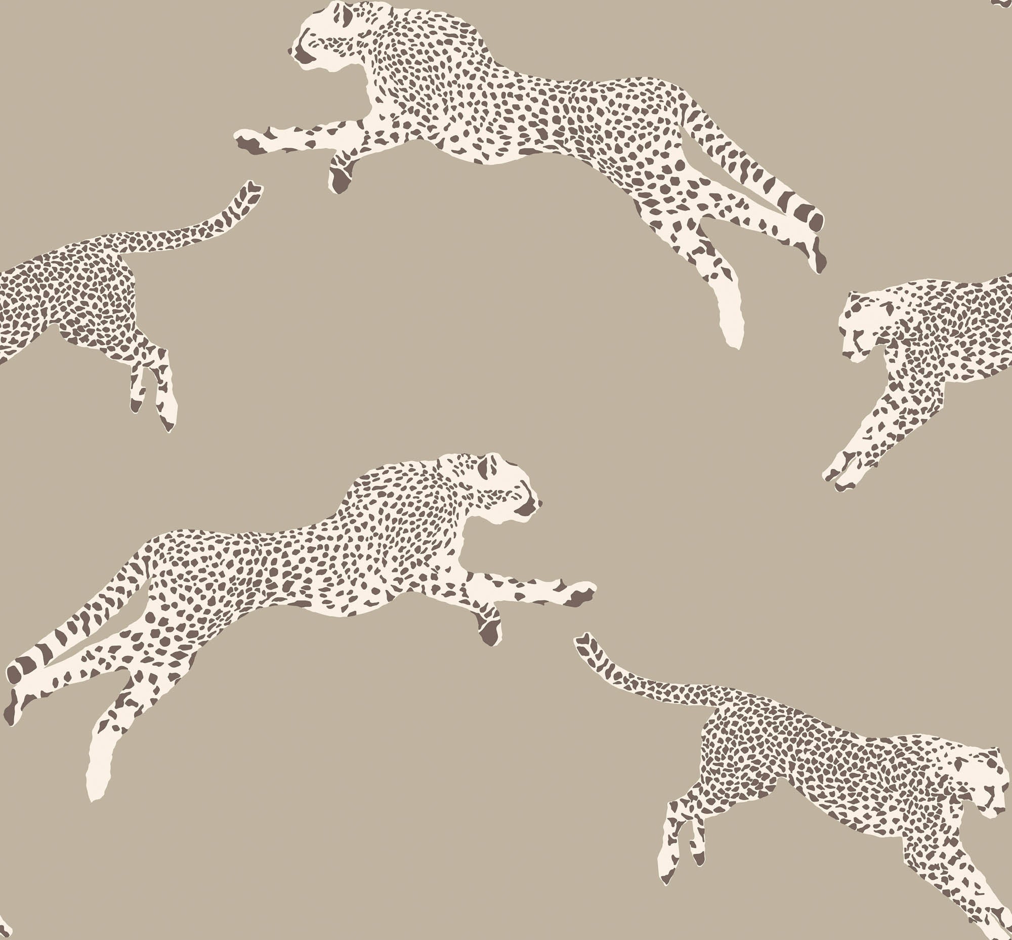 Hooked on Walls Scalamandré Leaping Cheetah JV26021 Behang