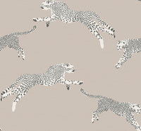 Hooked on Walls Scalamandré Leaping Cheetah JV26023