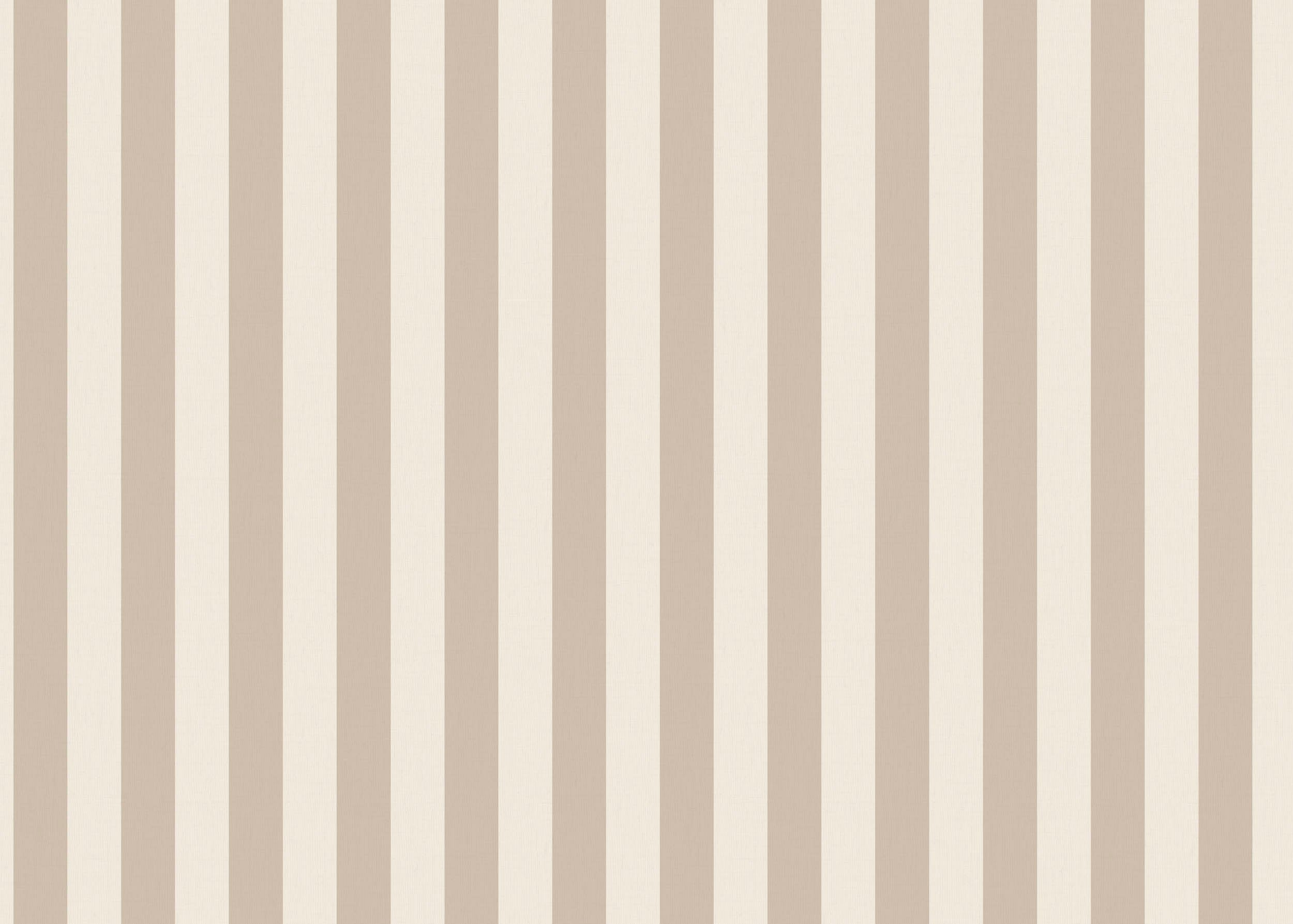 Hooked on Walls Stripes & Stripes Maison 90791