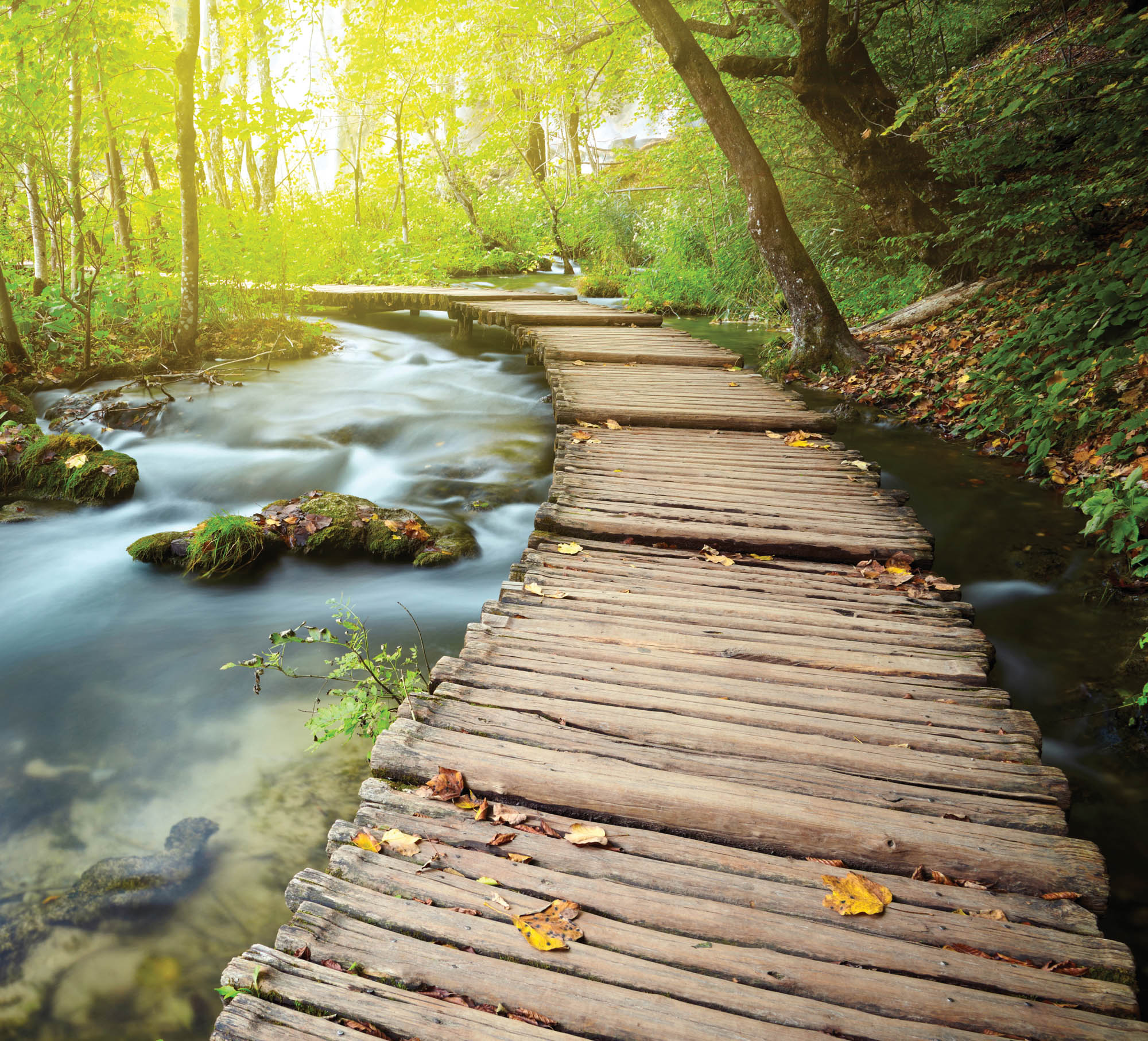 Houten weg door bos - LW00251 Fotobehang