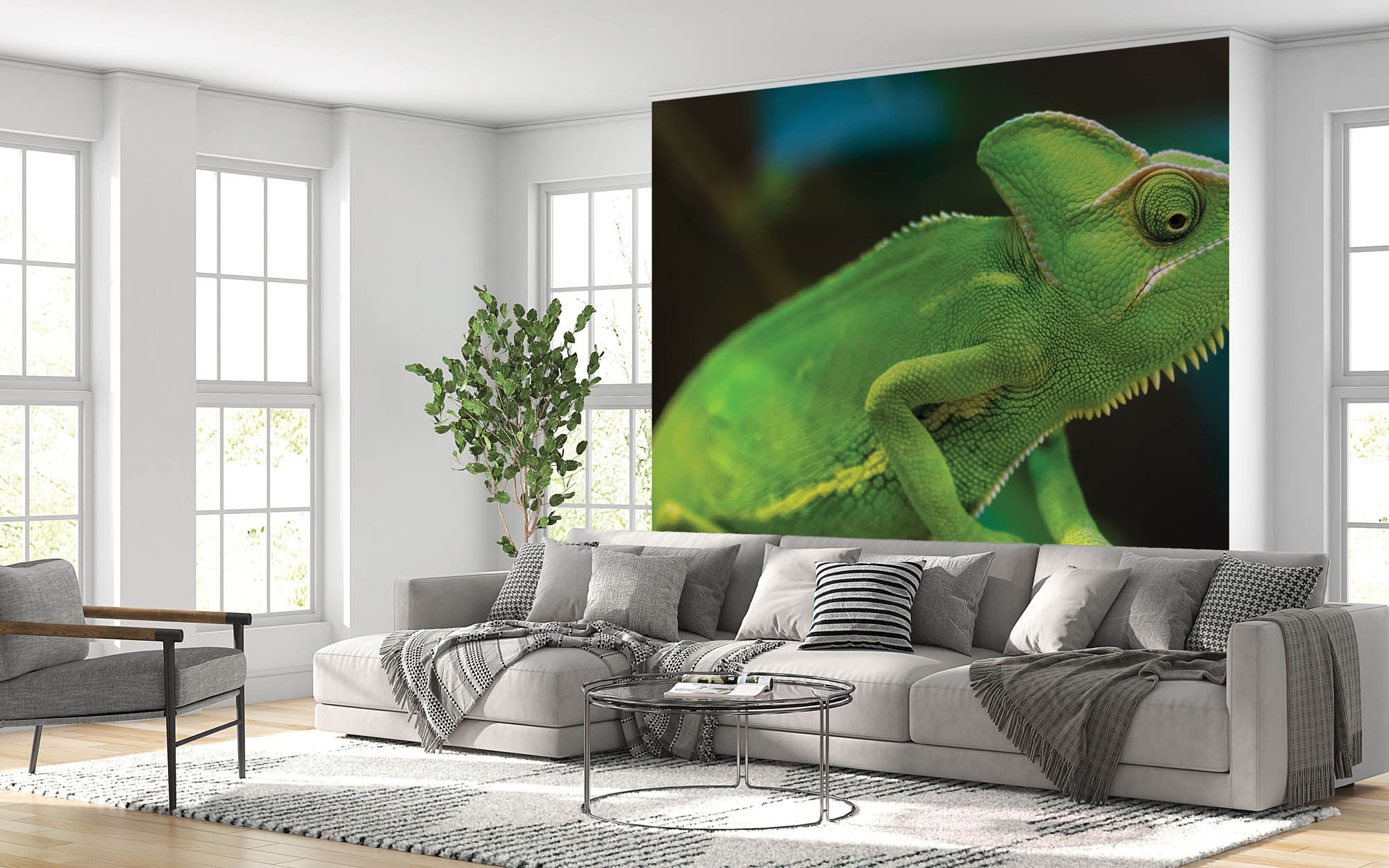 Kameleon op tak - LW00157 Fotobehang