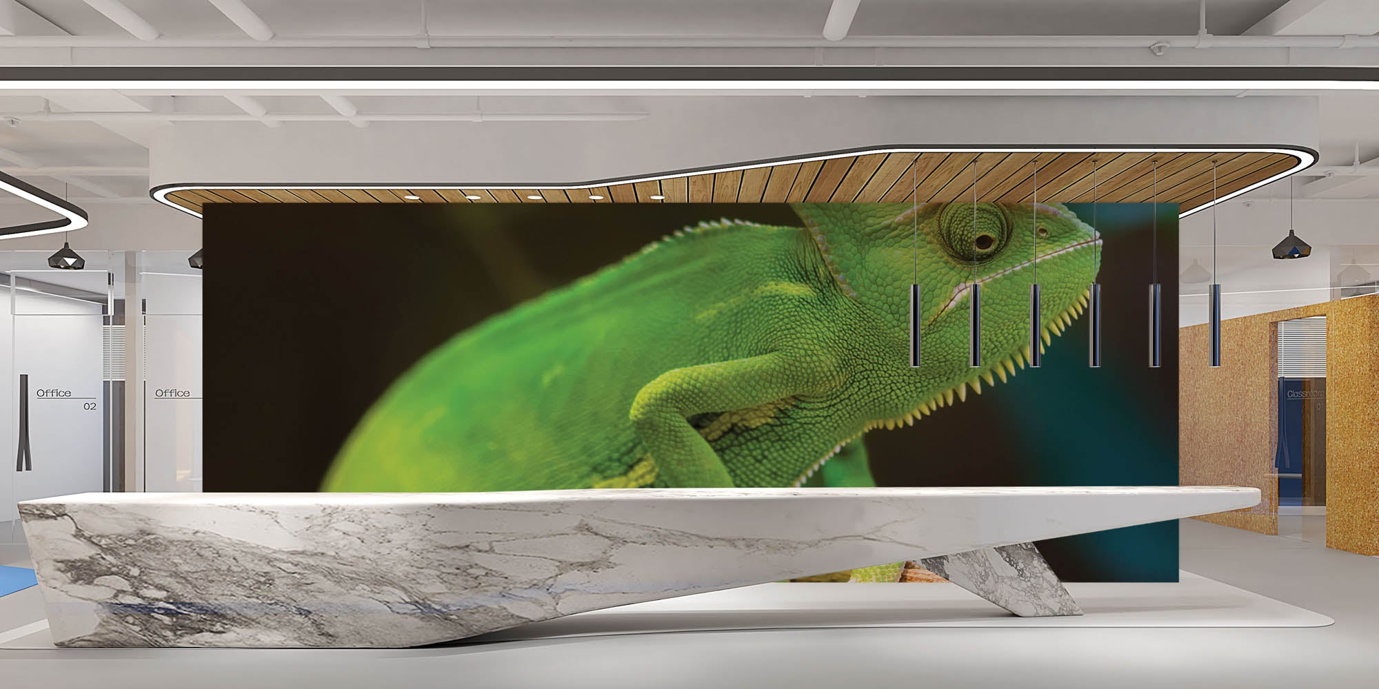 Kameleon op tak - LW00157 Fotobehang