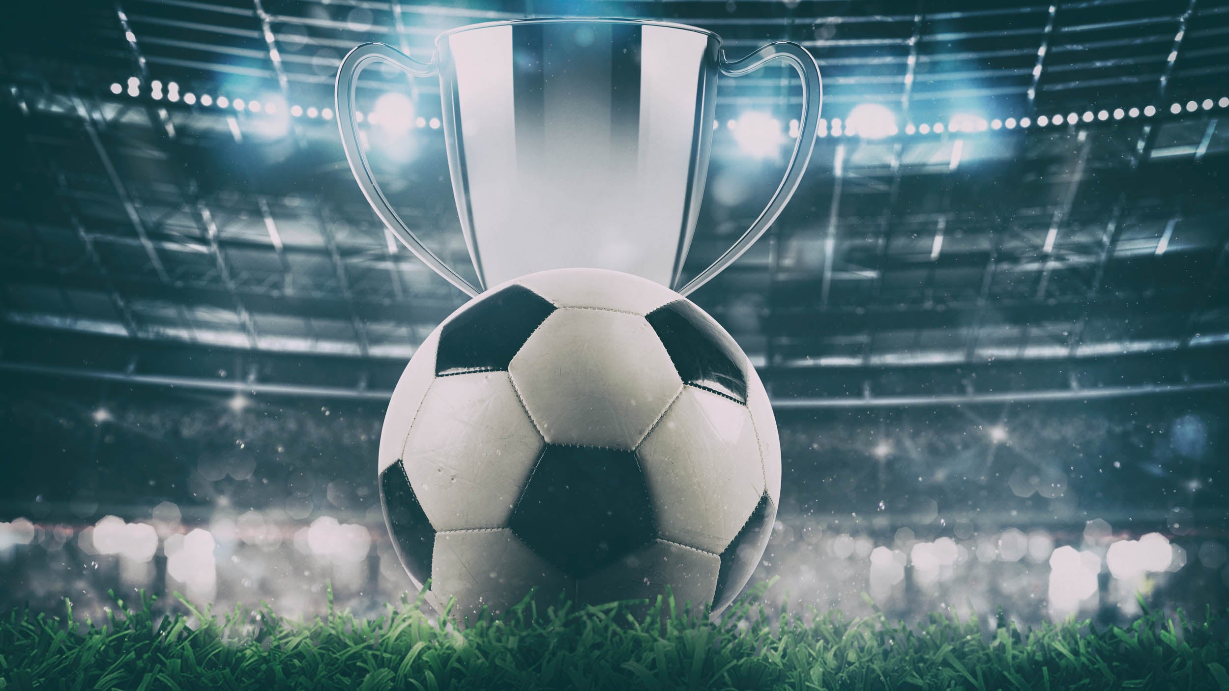 Kampioens Trofee Voetbalstadion - LW00961