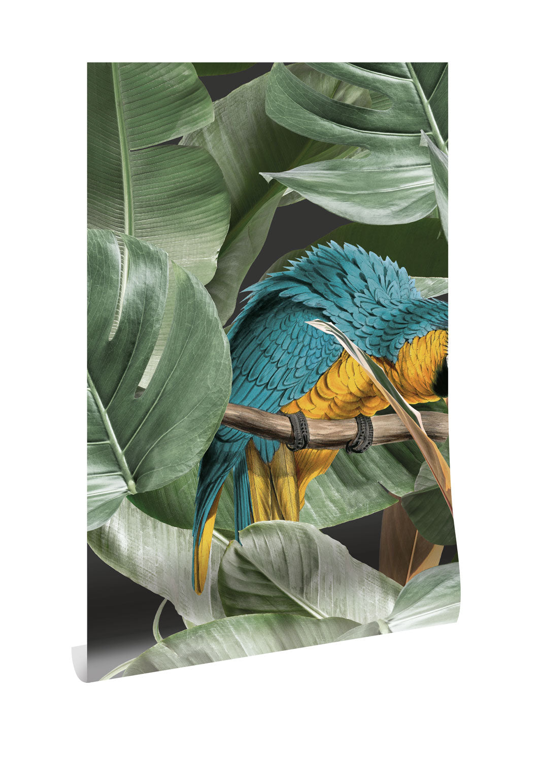 KEK Amsterdam Botanical Birds WP-579
