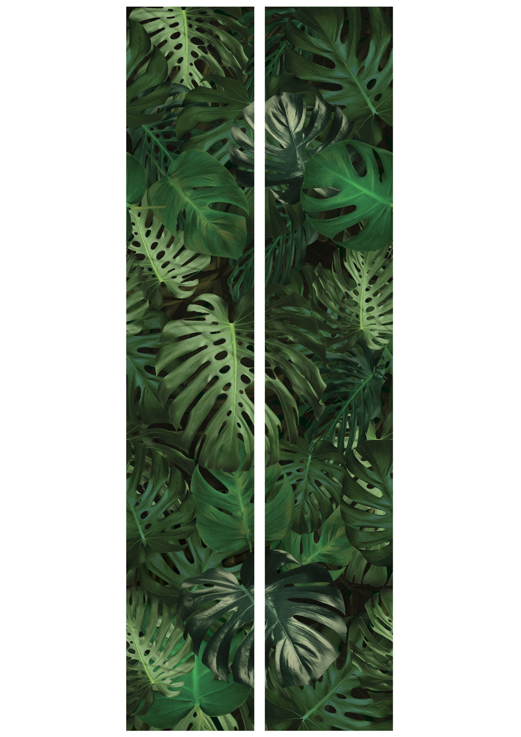 KEK Amsterdam Botanical Monstera WP-500 Behang
