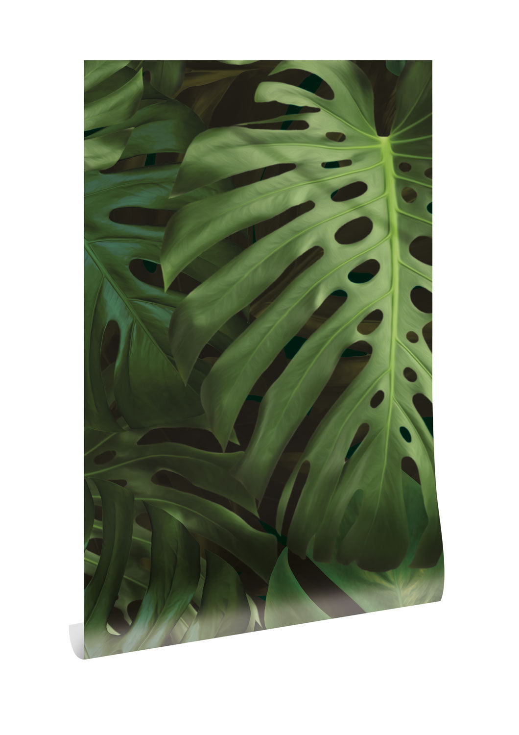 KEK Amsterdam Botanical Monstera WP-500 Behang