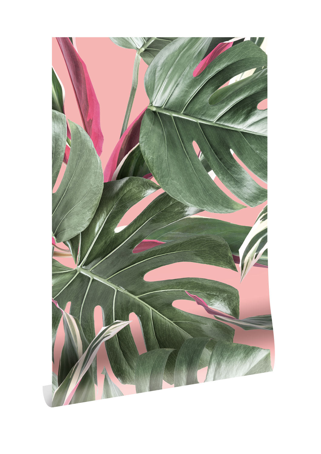 KEK Amsterdam Botanical Monstera WP-581 Behang