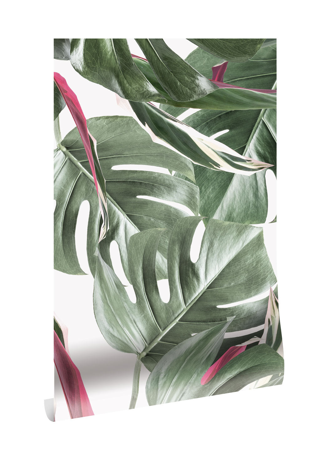 KEK Amsterdam Botanical Monstera WP-582