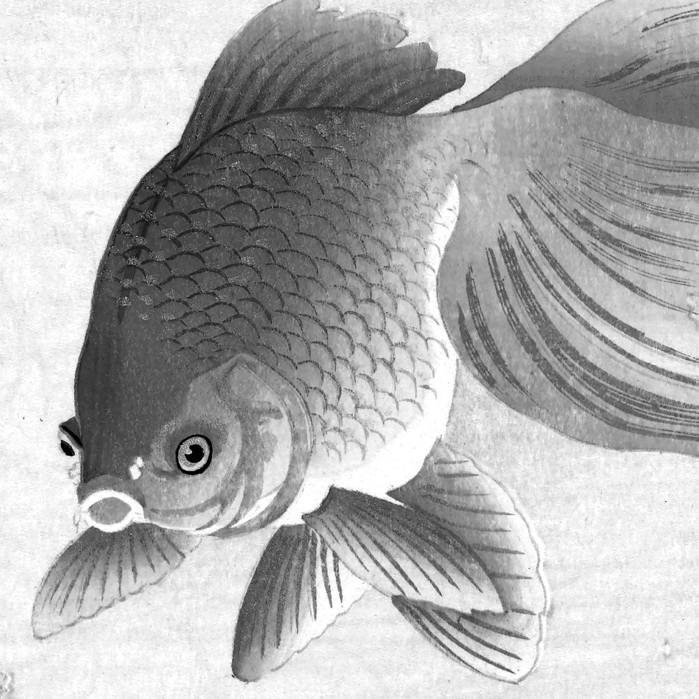 KEK Amsterdam Wallpaper Circle Goldfish SC-005 Behangcirkel