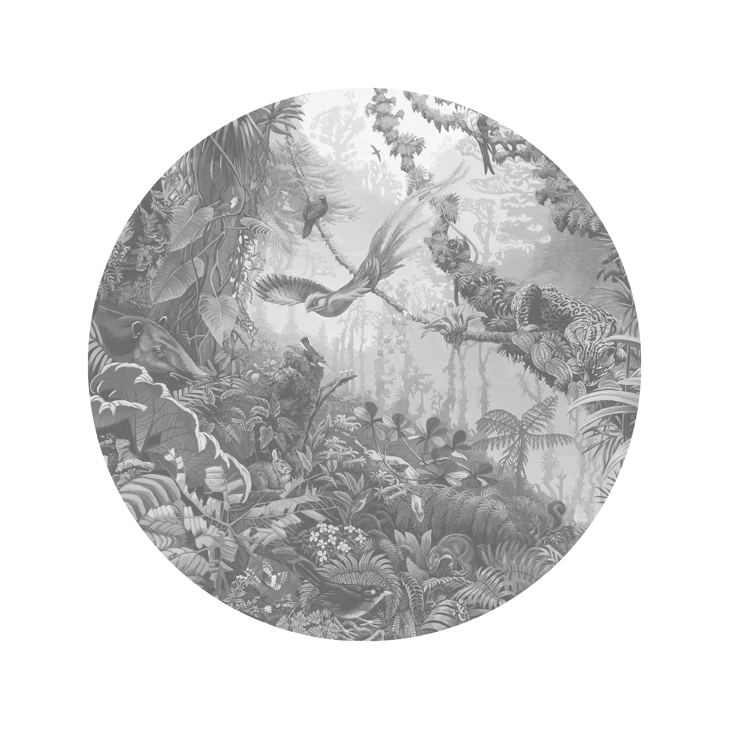 KEK Amsterdam Wallpaper Circle Tropical Landscapes SC-081