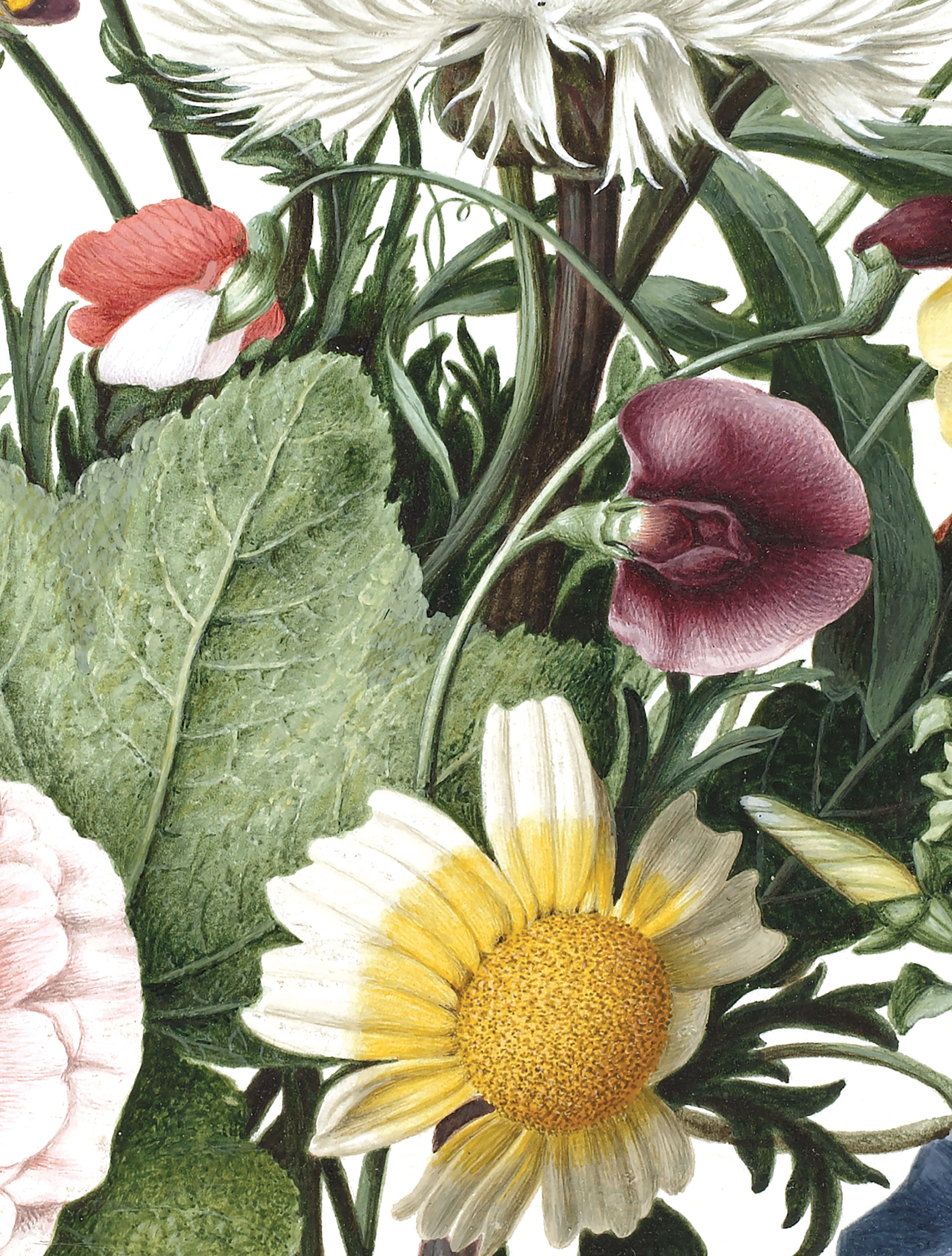 KEK Amsterdam Wallpaper Circle Wild flowers SC-062 Behangcirkel