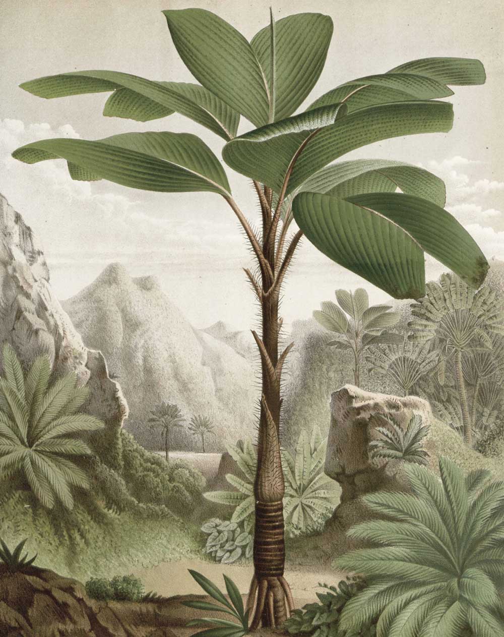 KEK Amsterdam Wallpaper Panel Banana Tree PA-010 - 3 Sheets