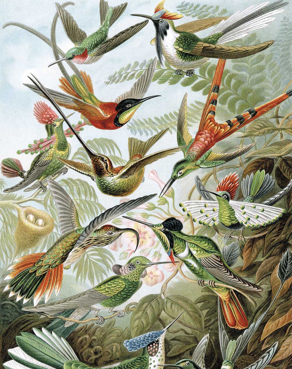KEK Amsterdam Wallpaper Panel Exotic Birds PA-023 Behang