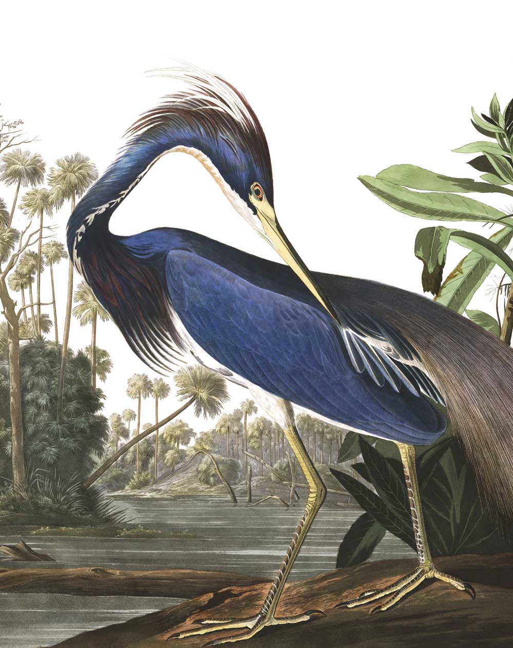 KEK Amsterdam Wallpaper Panel Louisiana Heron PA-011 Behang