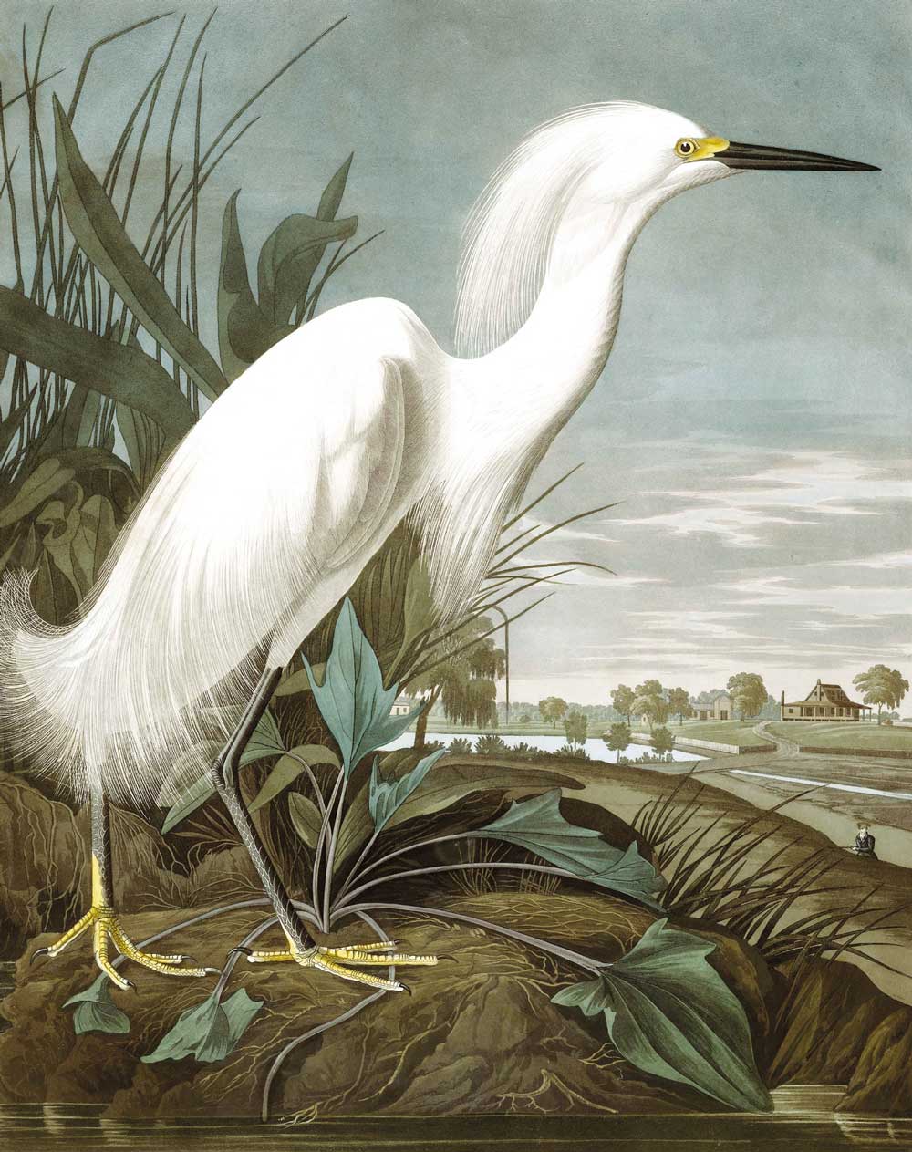 KEK Amsterdam Wallpaper Panel Snowy Heron PA-009 Behang