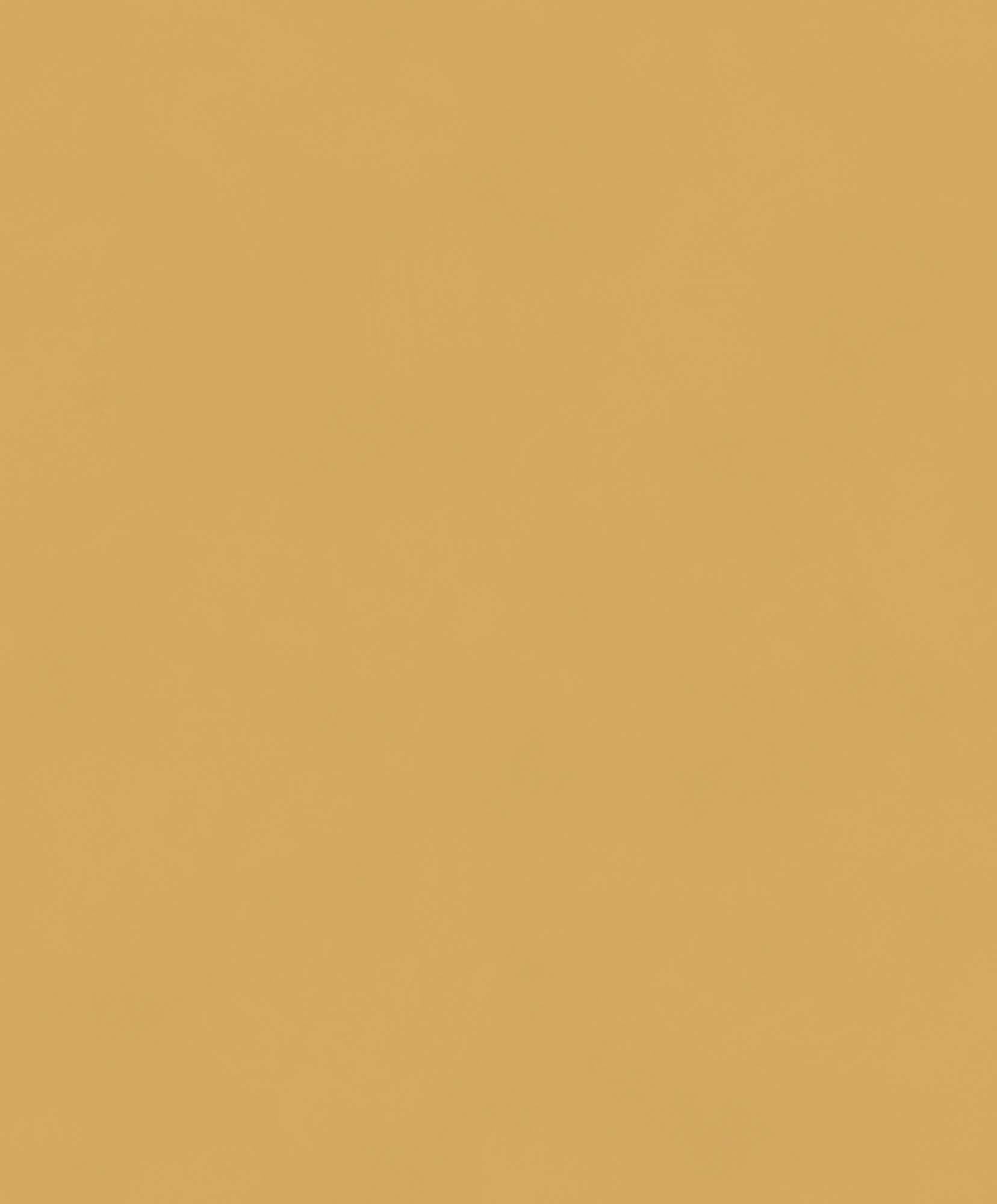 Khrôma Colorythm Color Gold BLONE1011 Behang