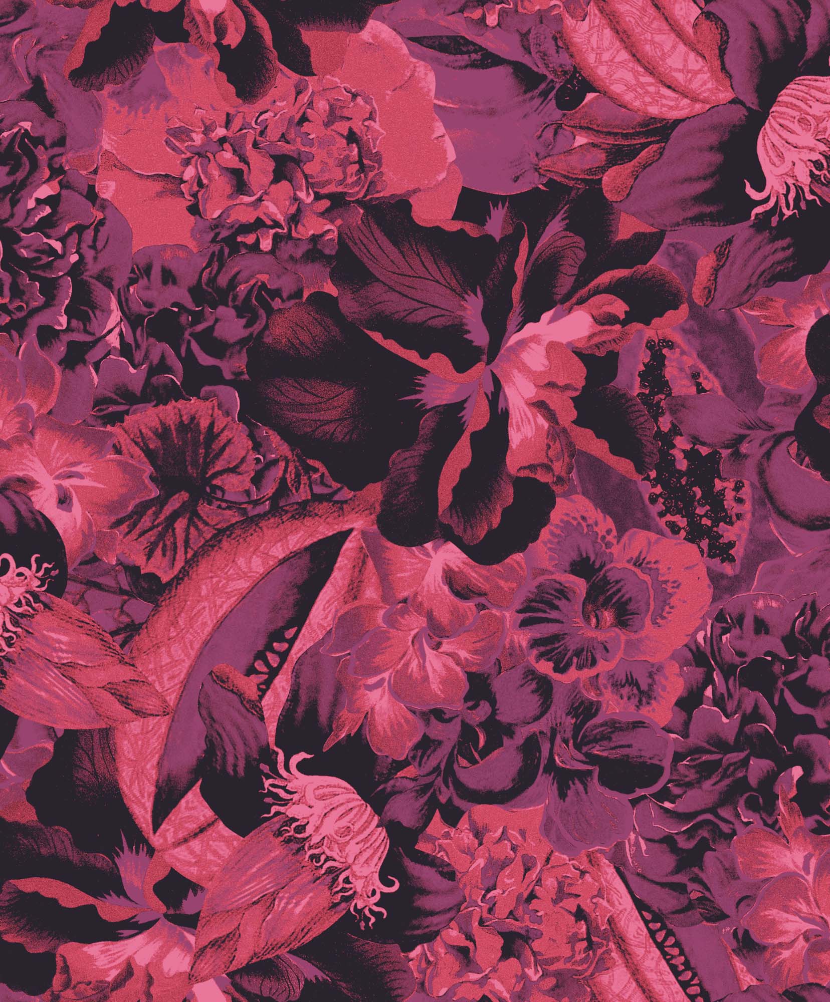 Khrôma Havana Eduardo Viola HAV903 Behang