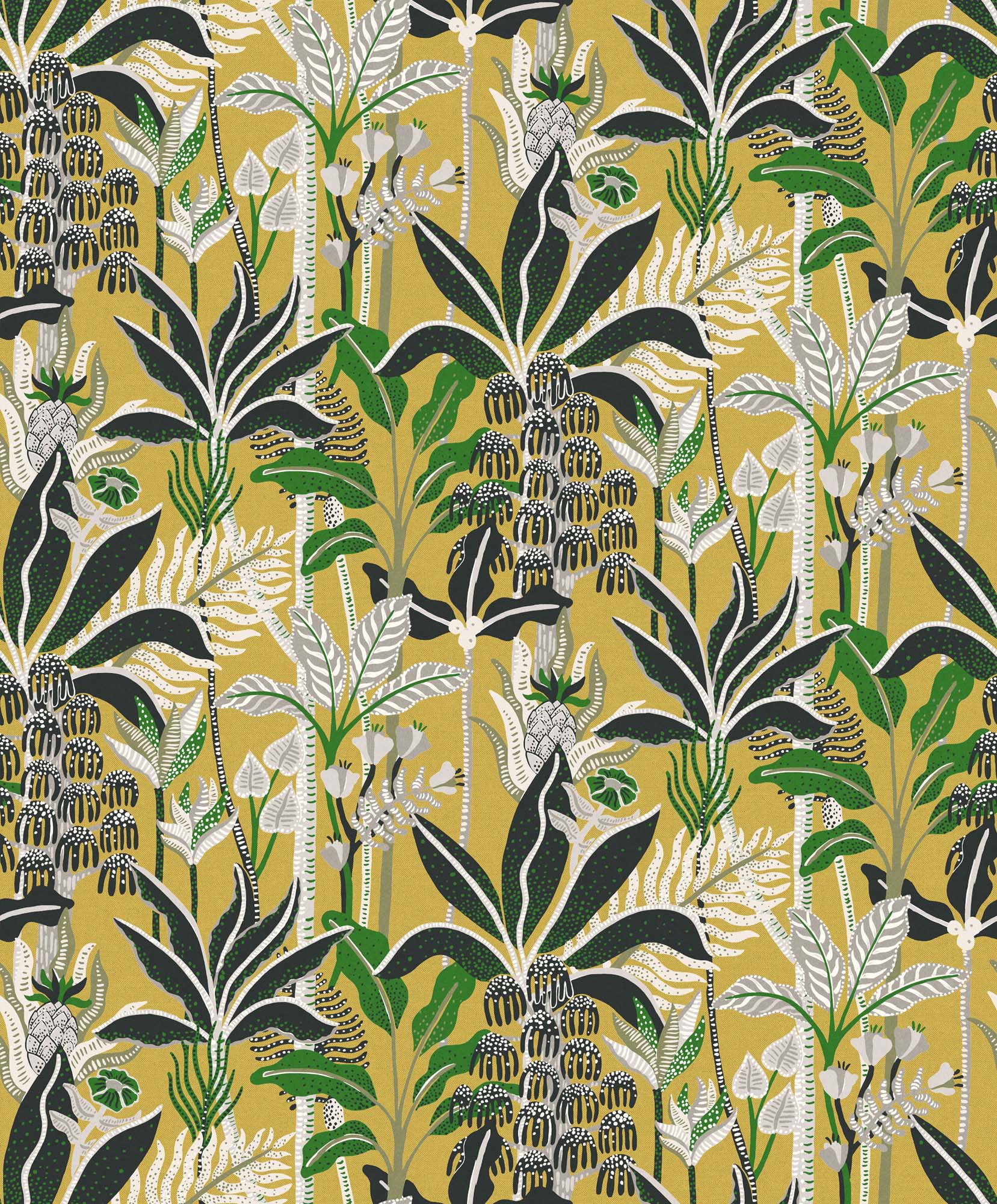 Khroma Havana Jose Paradise HAV004