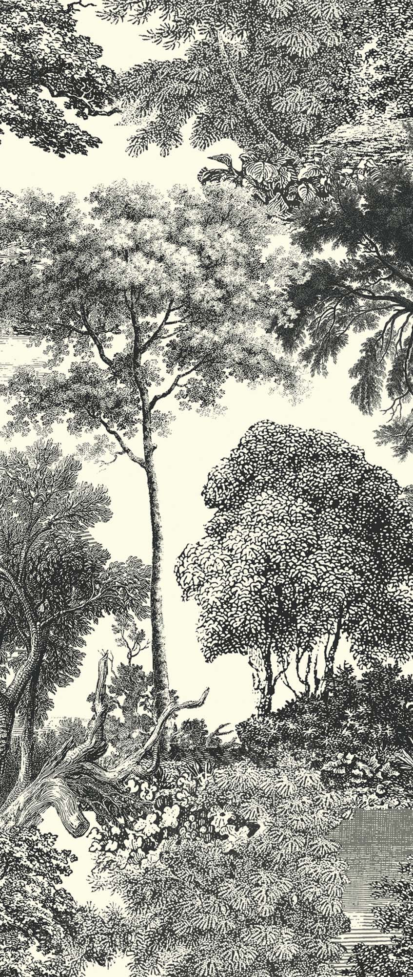 Khrôma Wall designs II Salcey Forest DG2SAL1012 Behang