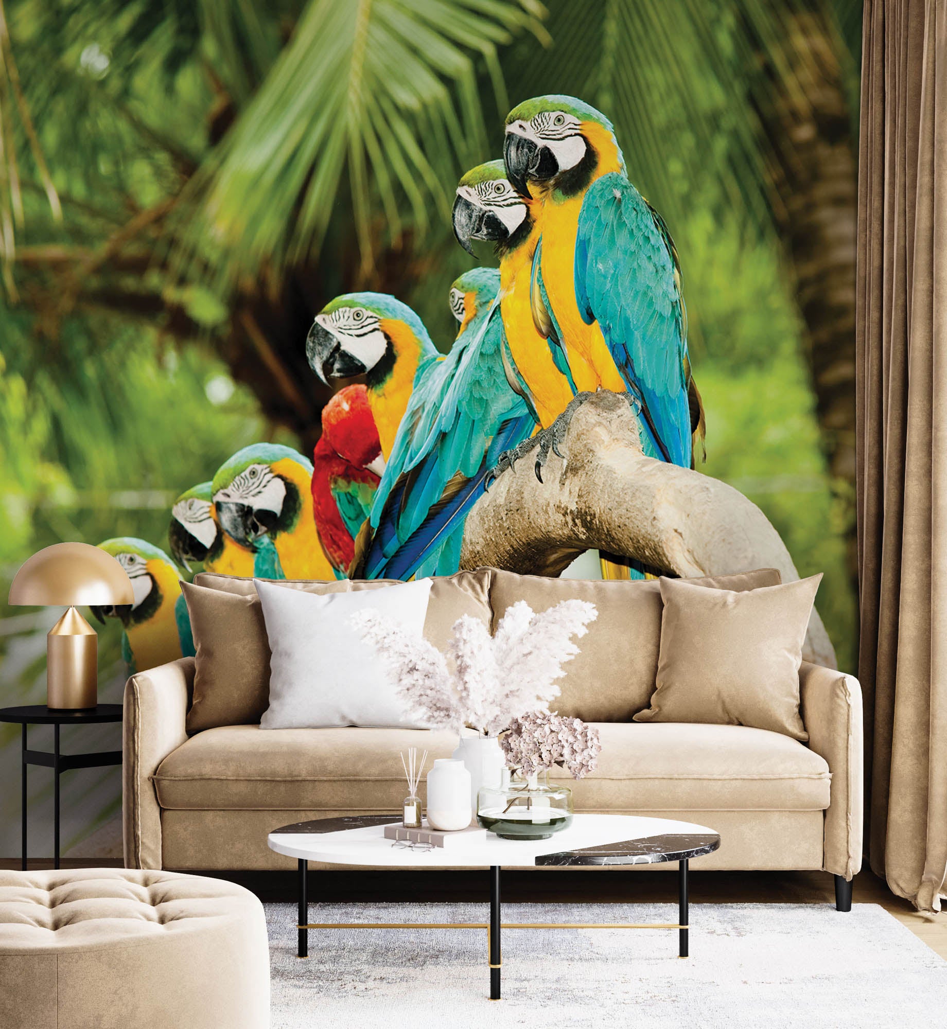 kleurrijke papegaaien  - LW00149 Fotobehang