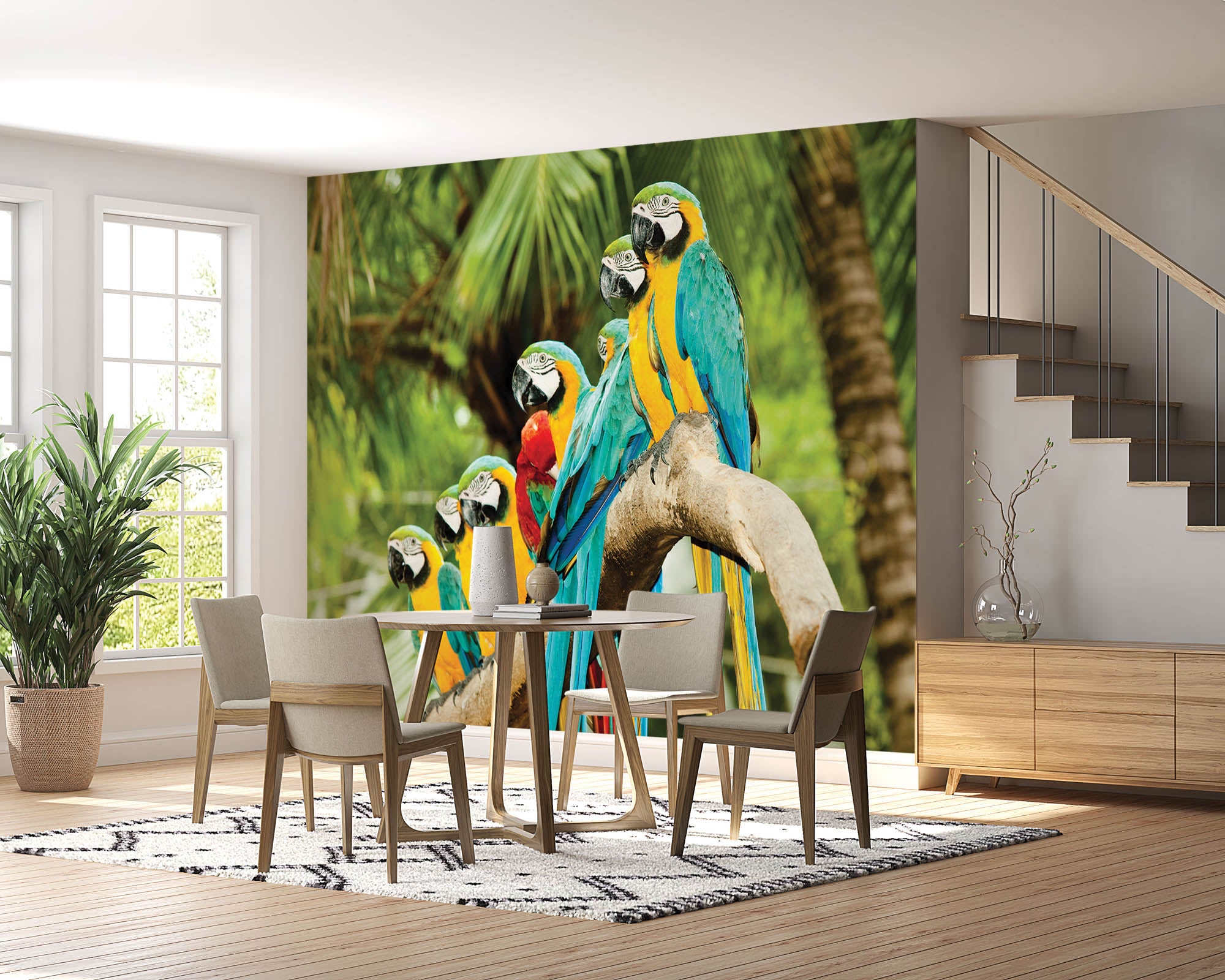 kleurrijke papegaaien  - LW00149 Fotobehang