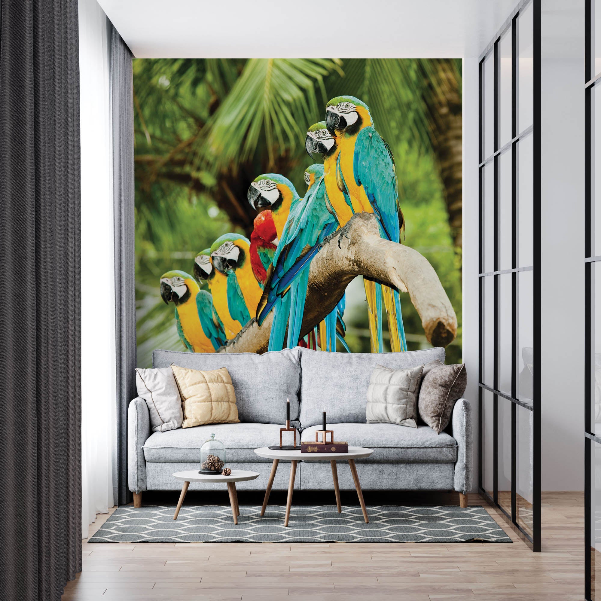 kleurrijke papegaaien  - LW00149 Fotobehang