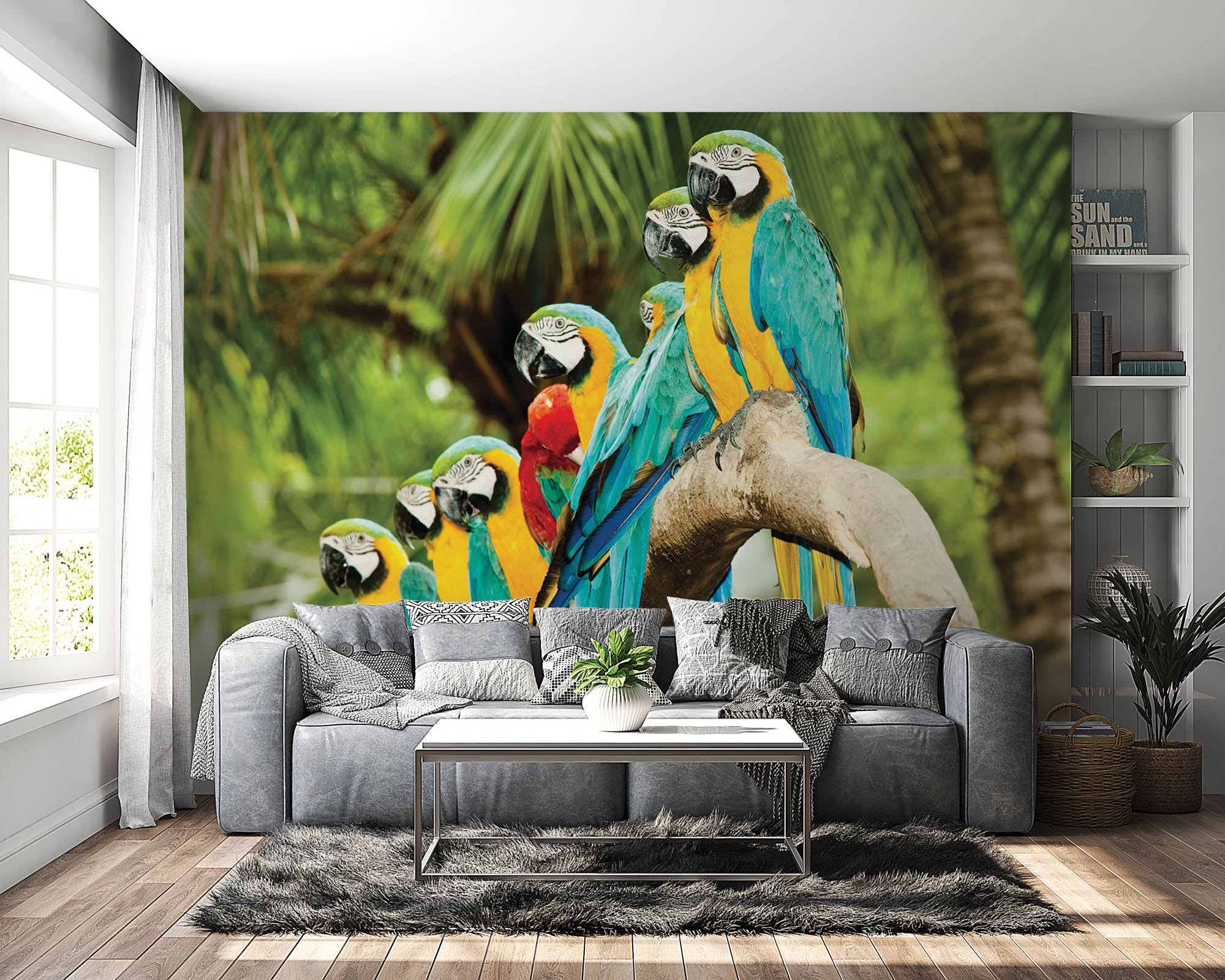 kleurrijke papegaaien  - LW00149 Fotobehang