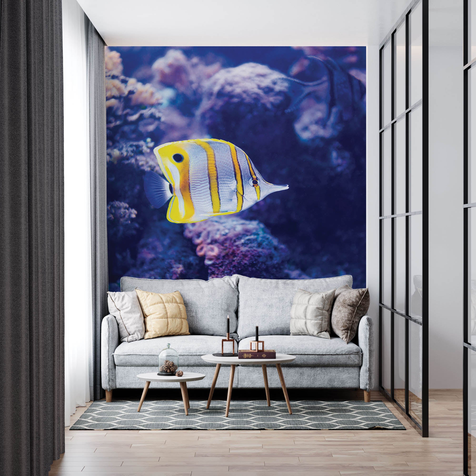 Kleurrijke vis - LW00167 Fotobehang