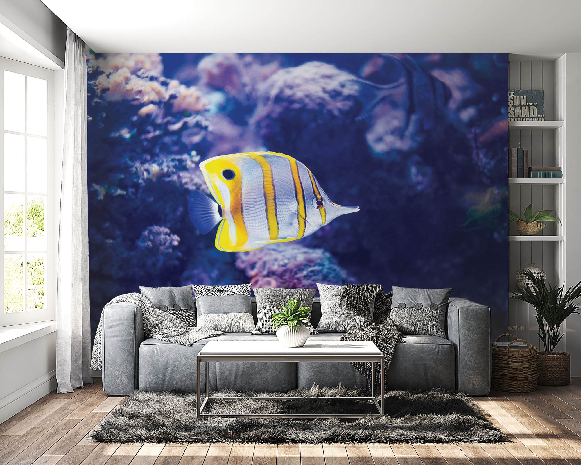 Kleurrijke vis - LW00167 Fotobehang