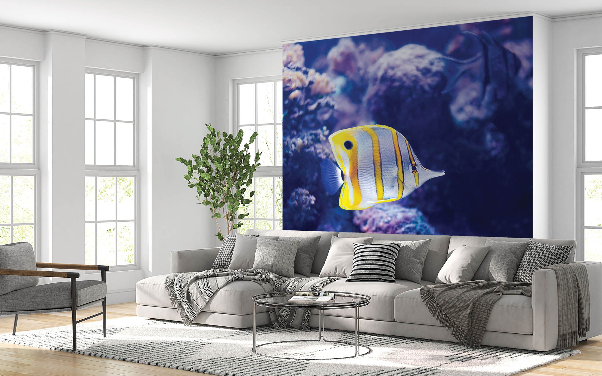 Kleurrijke vis - LW00167 Fotobehang