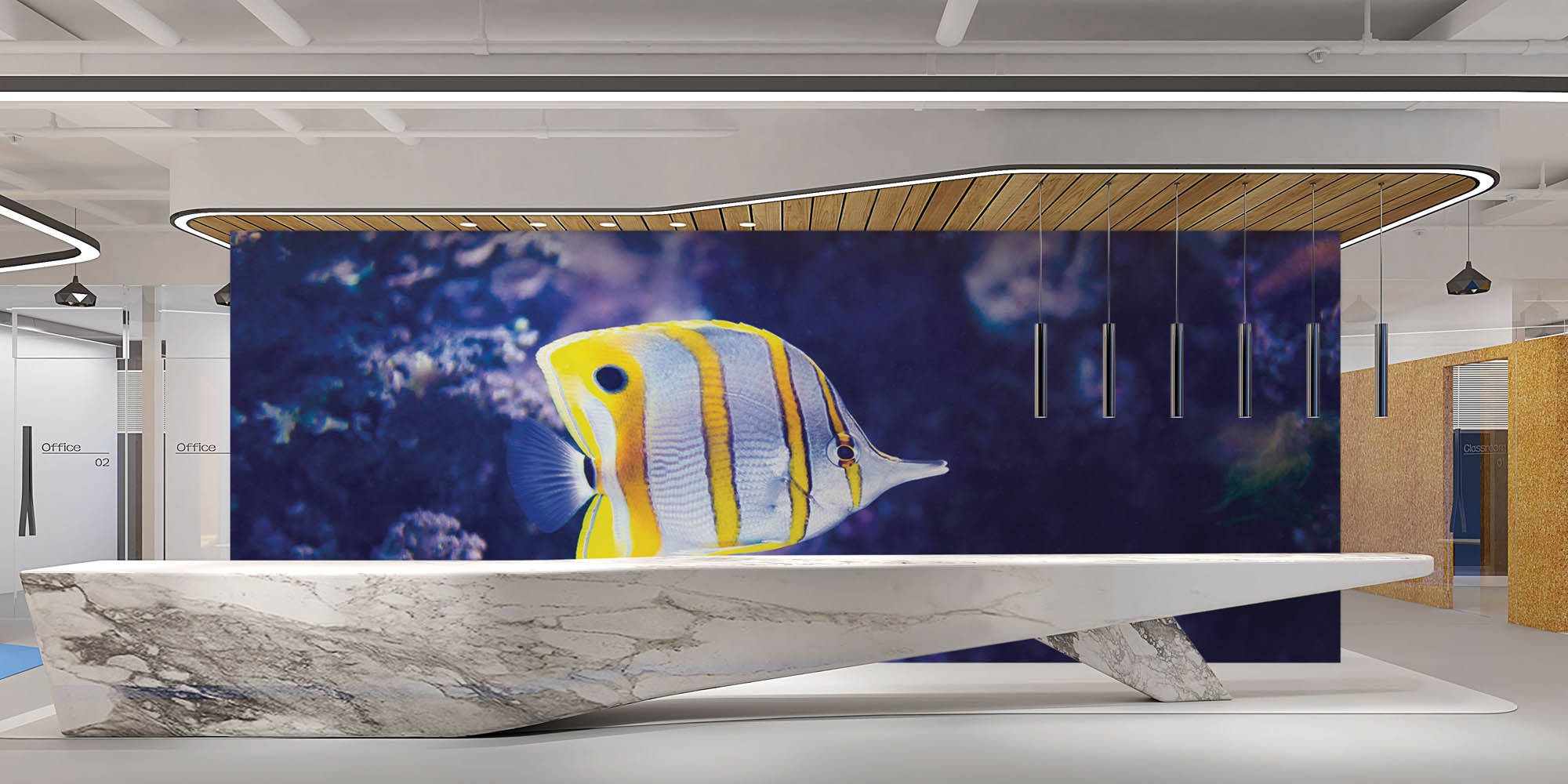 Kleurrijke vis - LW00167 Fotobehang