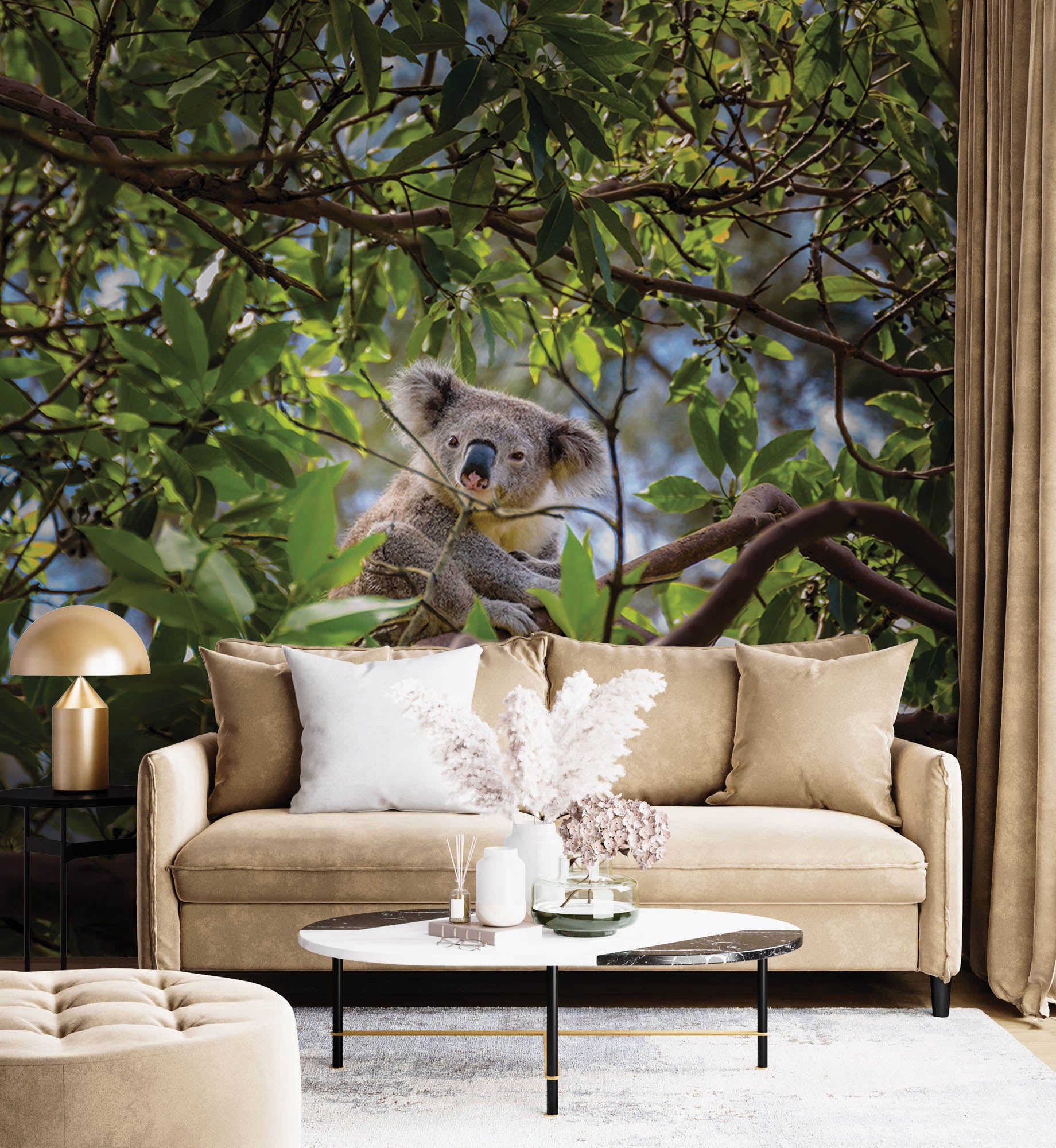 Koala op tak eucalyptus boom - LW00185 Fotobehang