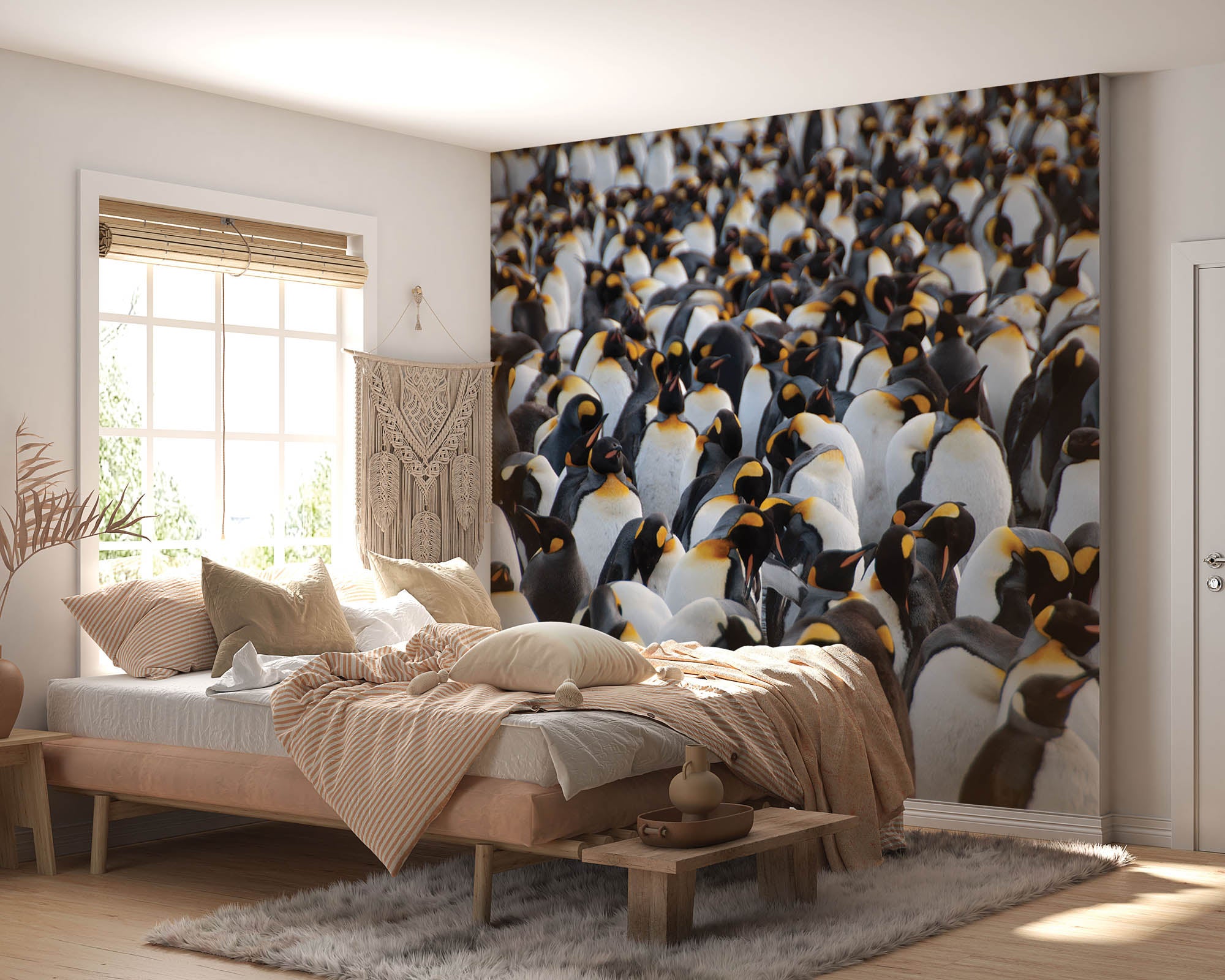 Kolonie koningspinguïns  - LW00176 Fotobehang