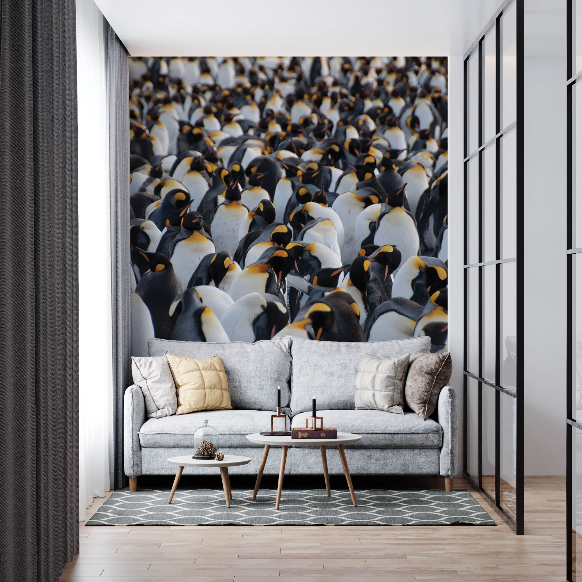 Kolonie koningspinguïns  - LW00176 Fotobehang