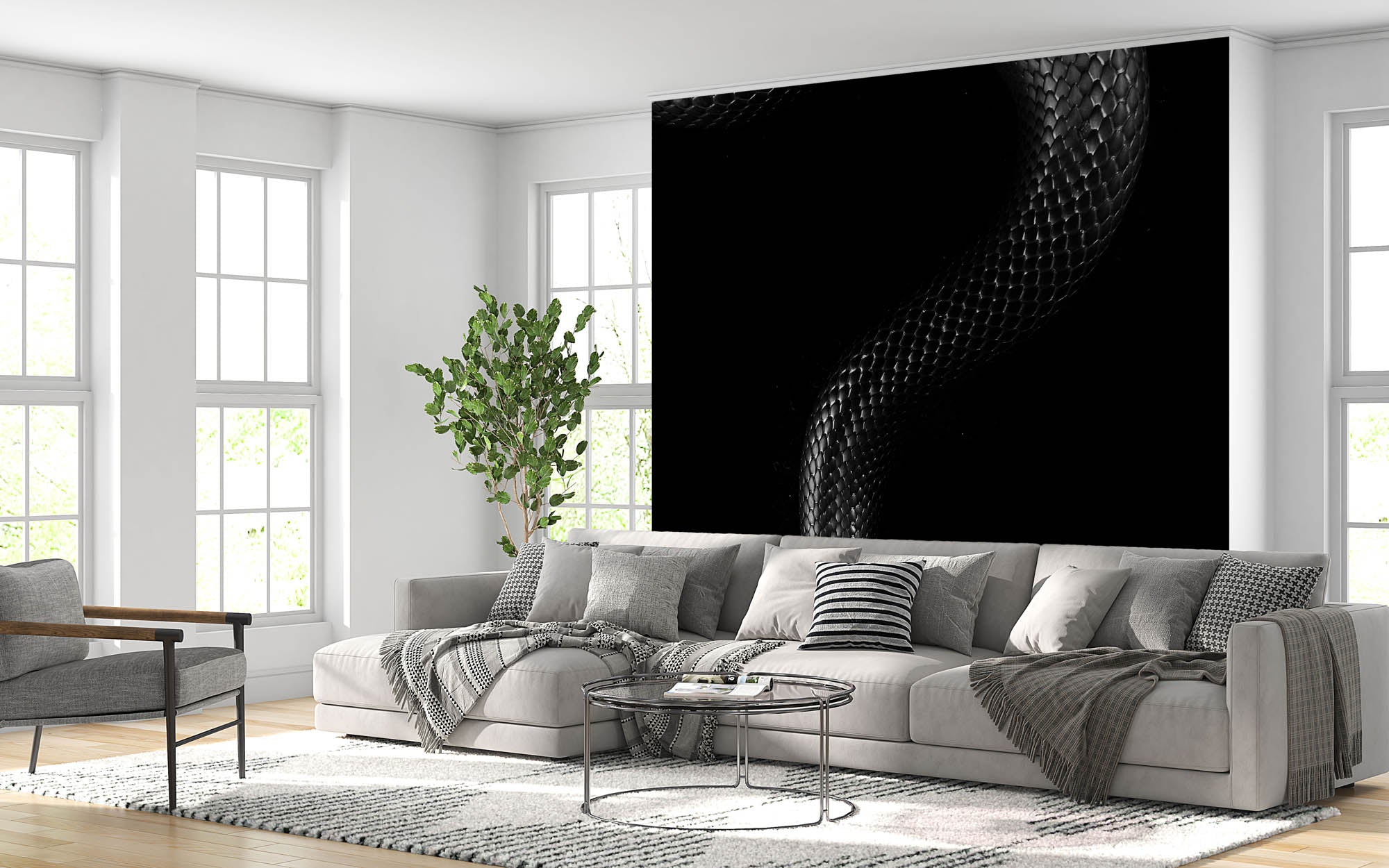 Koningsslang  - LW00234 Fotobehang