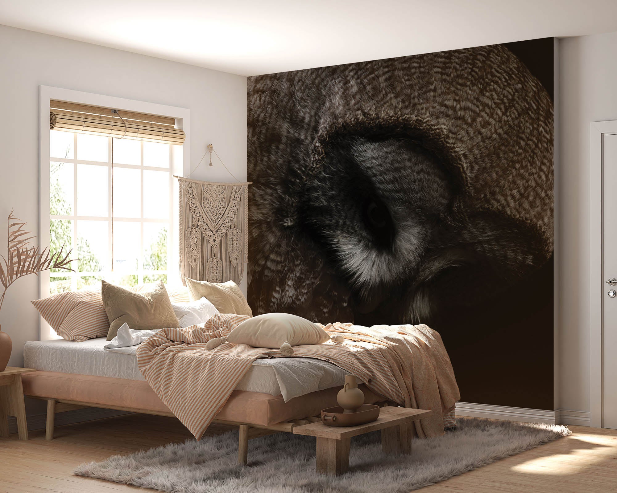 Kop van een grote grijze uil - LW00181 Fotobehang