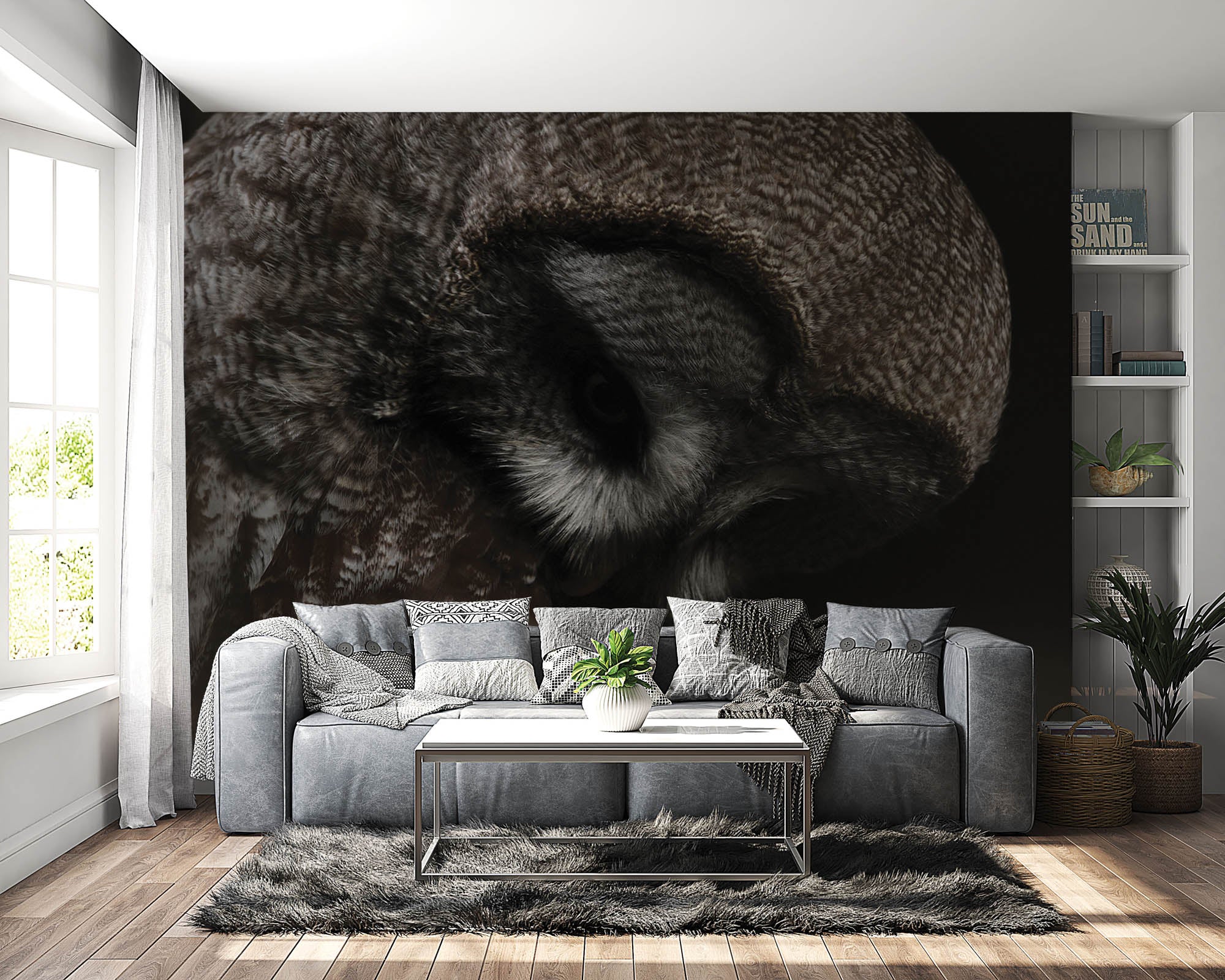 Kop van een grote grijze uil - LW00181 Fotobehang