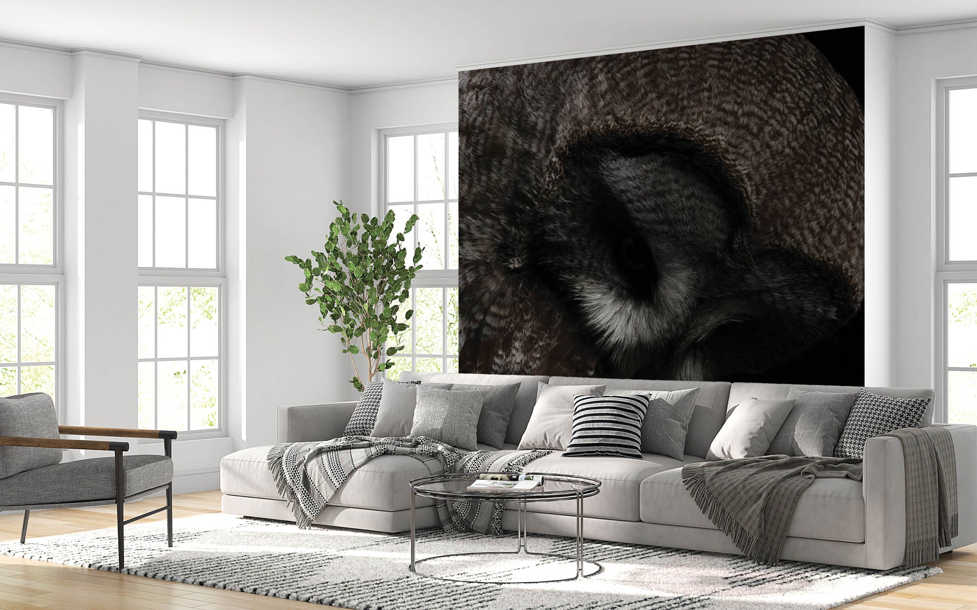 Kop van een grote grijze uil - LW00181 Fotobehang