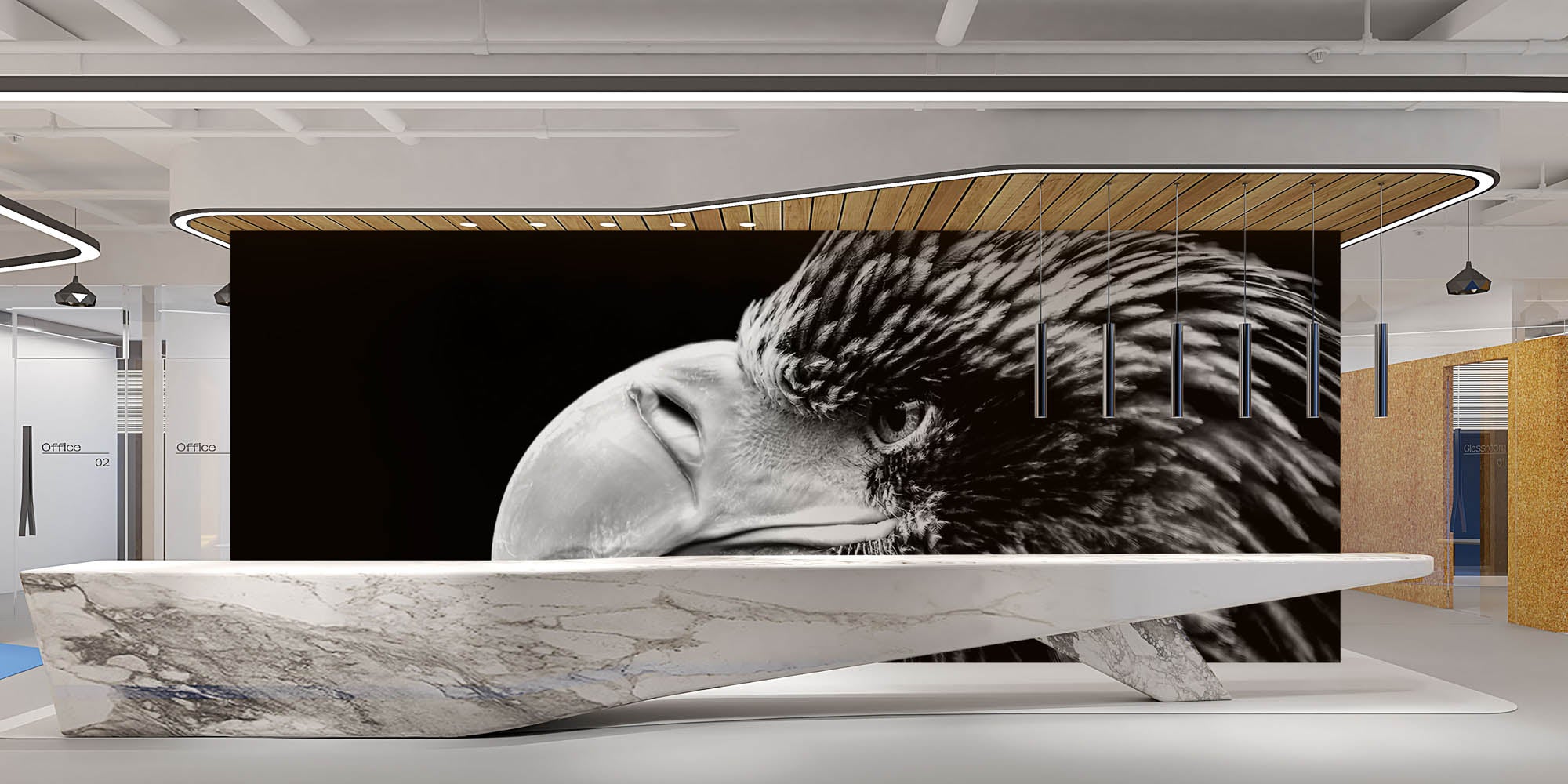 Kop van zeearend - LW00244 Fotobehang