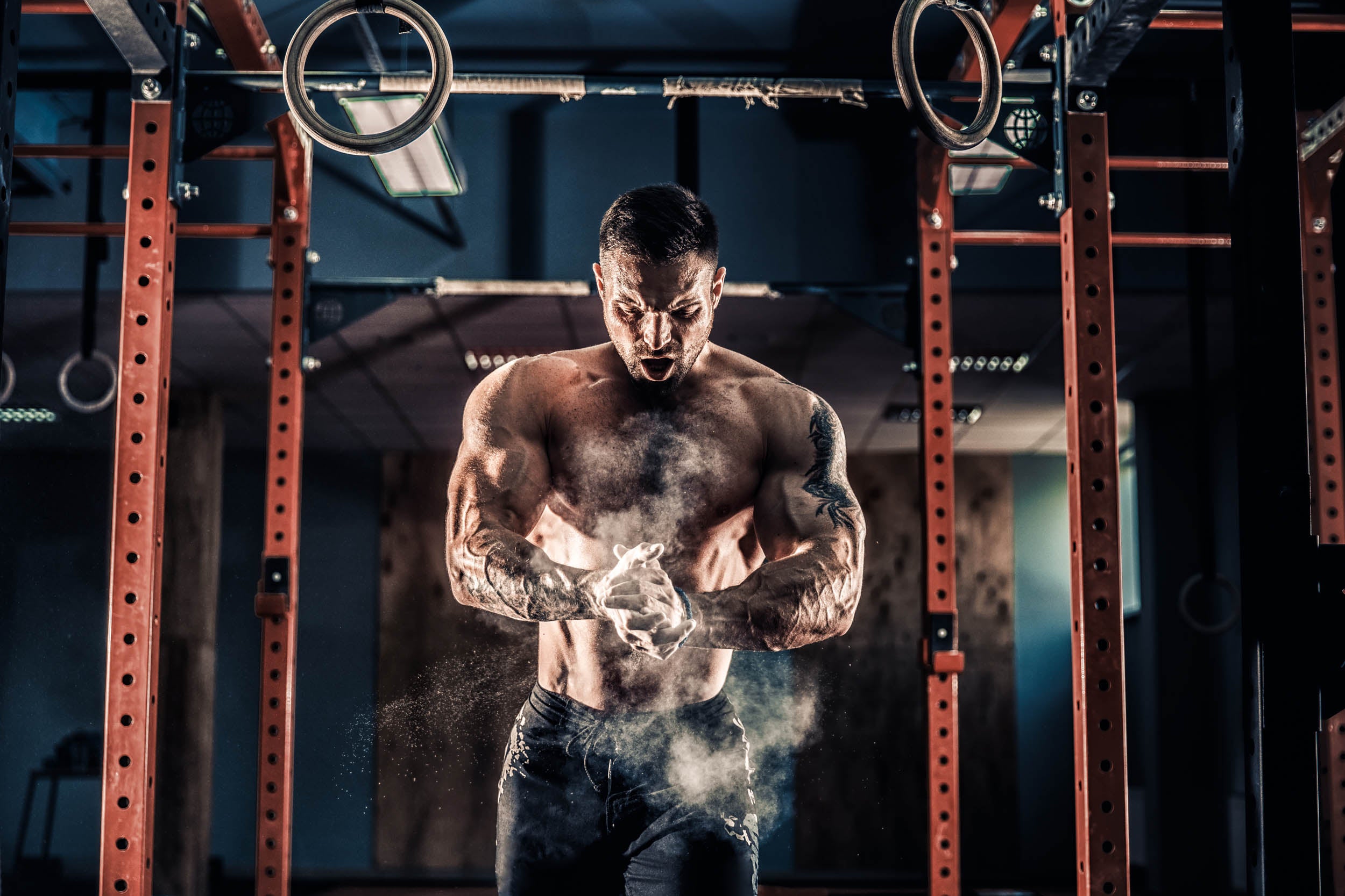 Kracht & Power Gym Warrior - LW00966