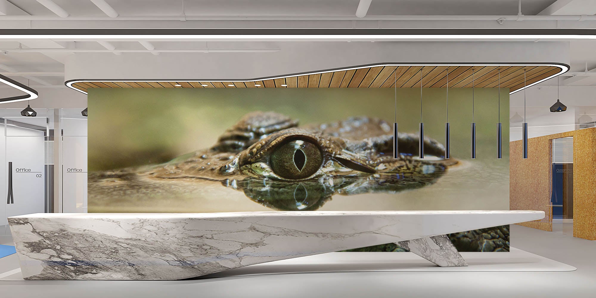 Krokodil - LW00155 Fotobehang