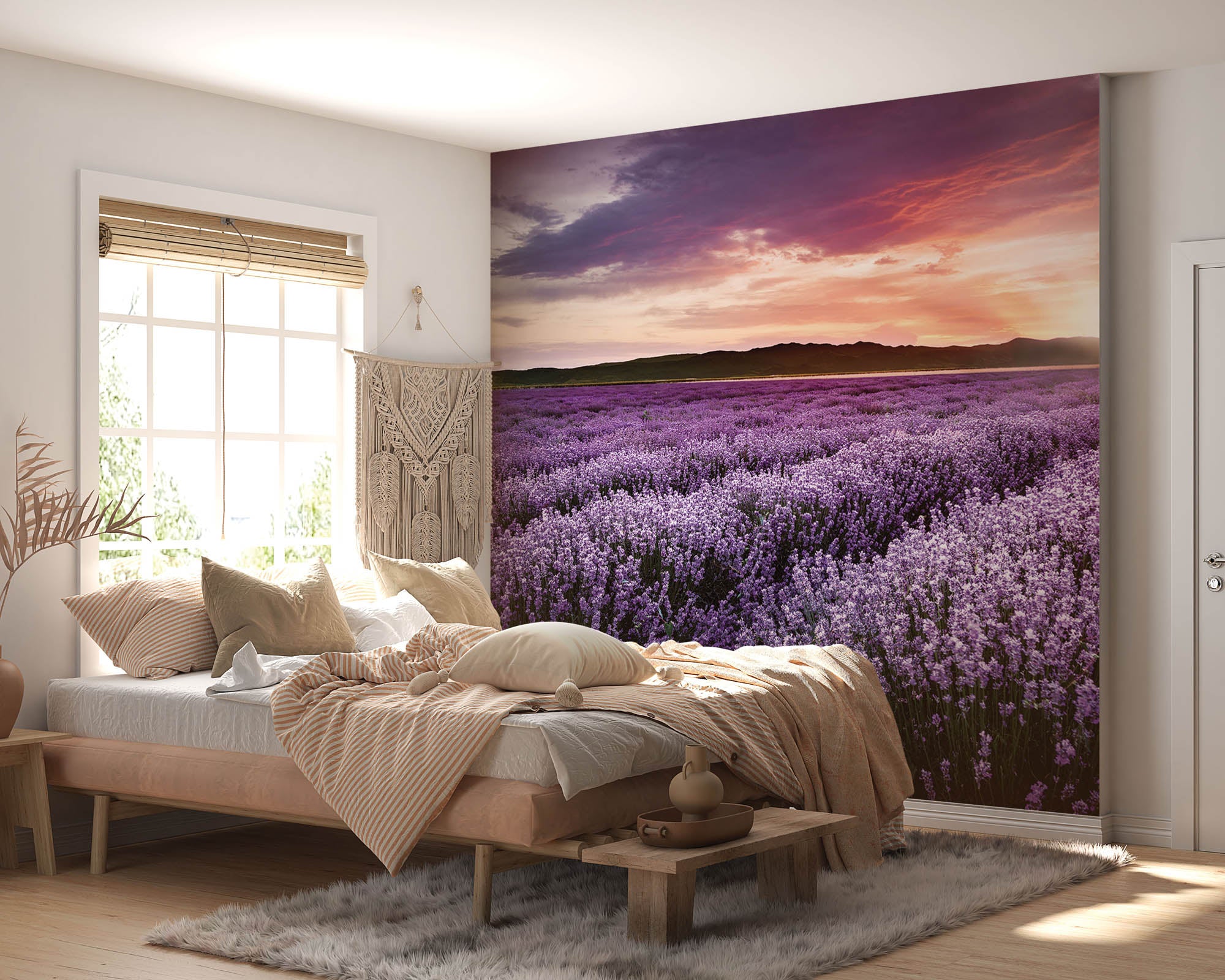 Lavendelveld - LW00262 Fotobehang