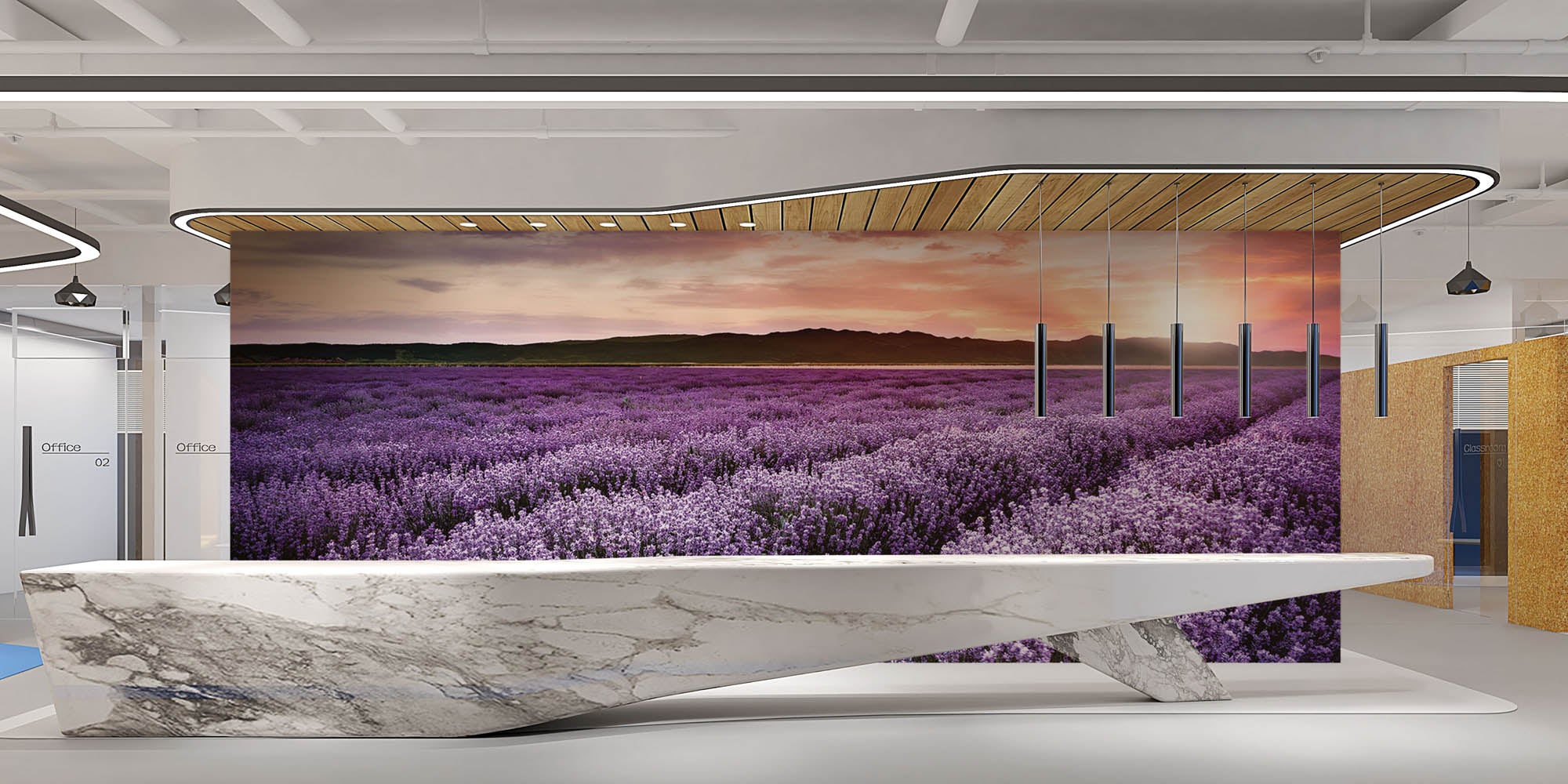 Lavendelveld - LW00262 Fotobehang