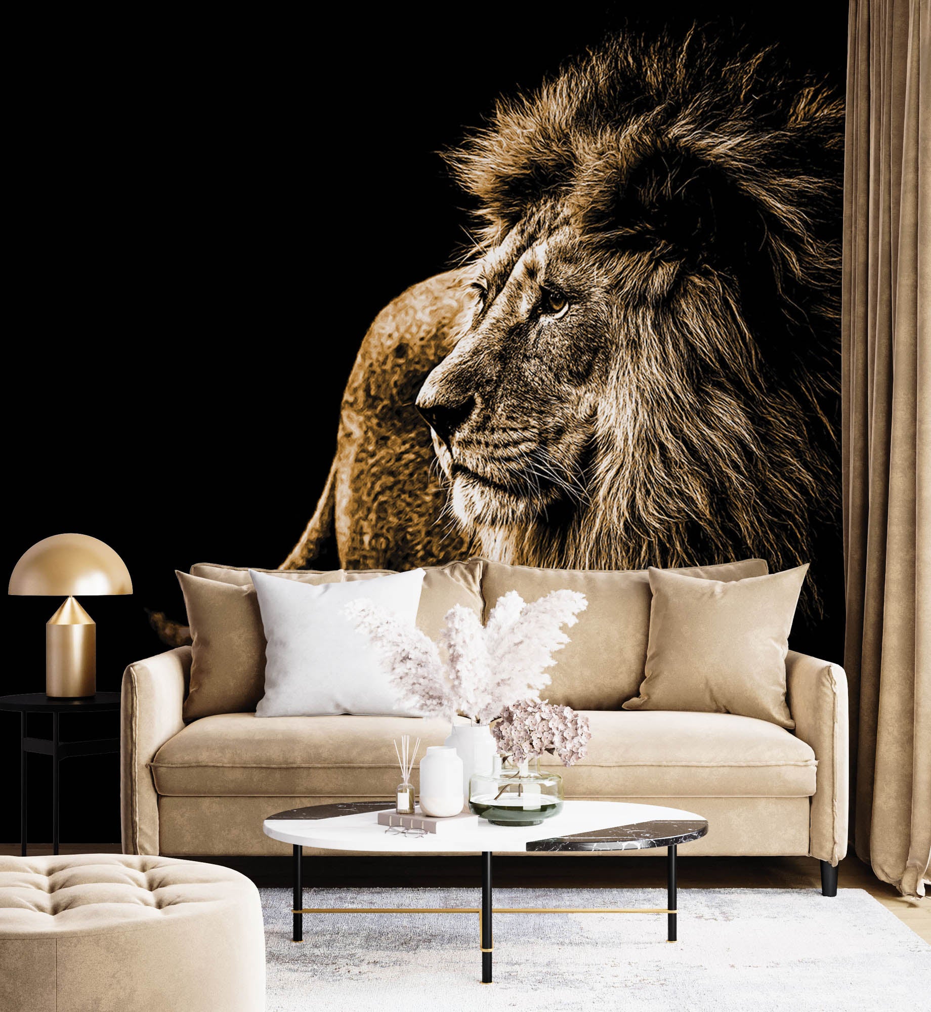 Leeuw op zwarte achtergrond - LW00186 Fotobehang