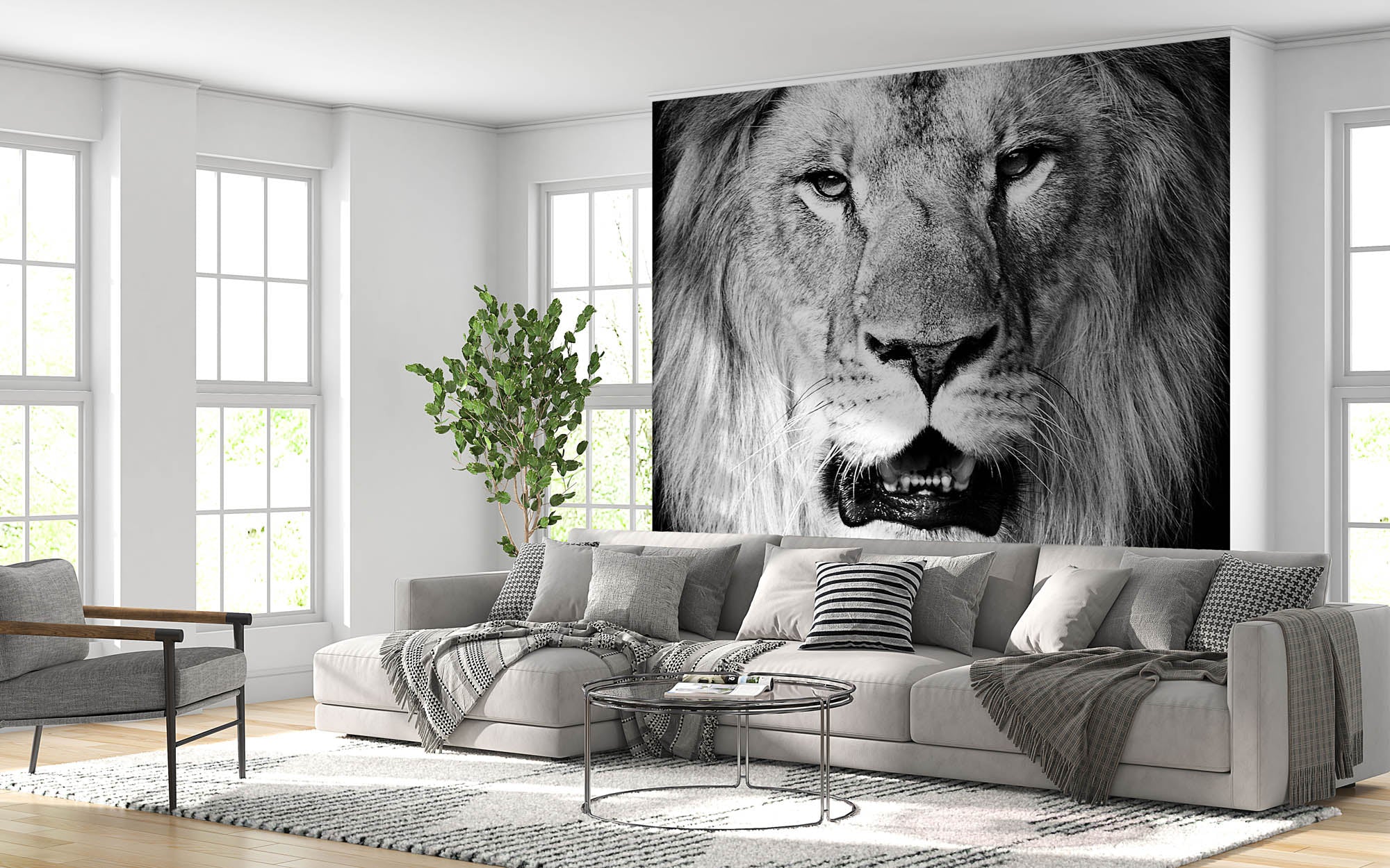 Leeuwenkop op zwarte achtergrond - LW00220 Fotobehang