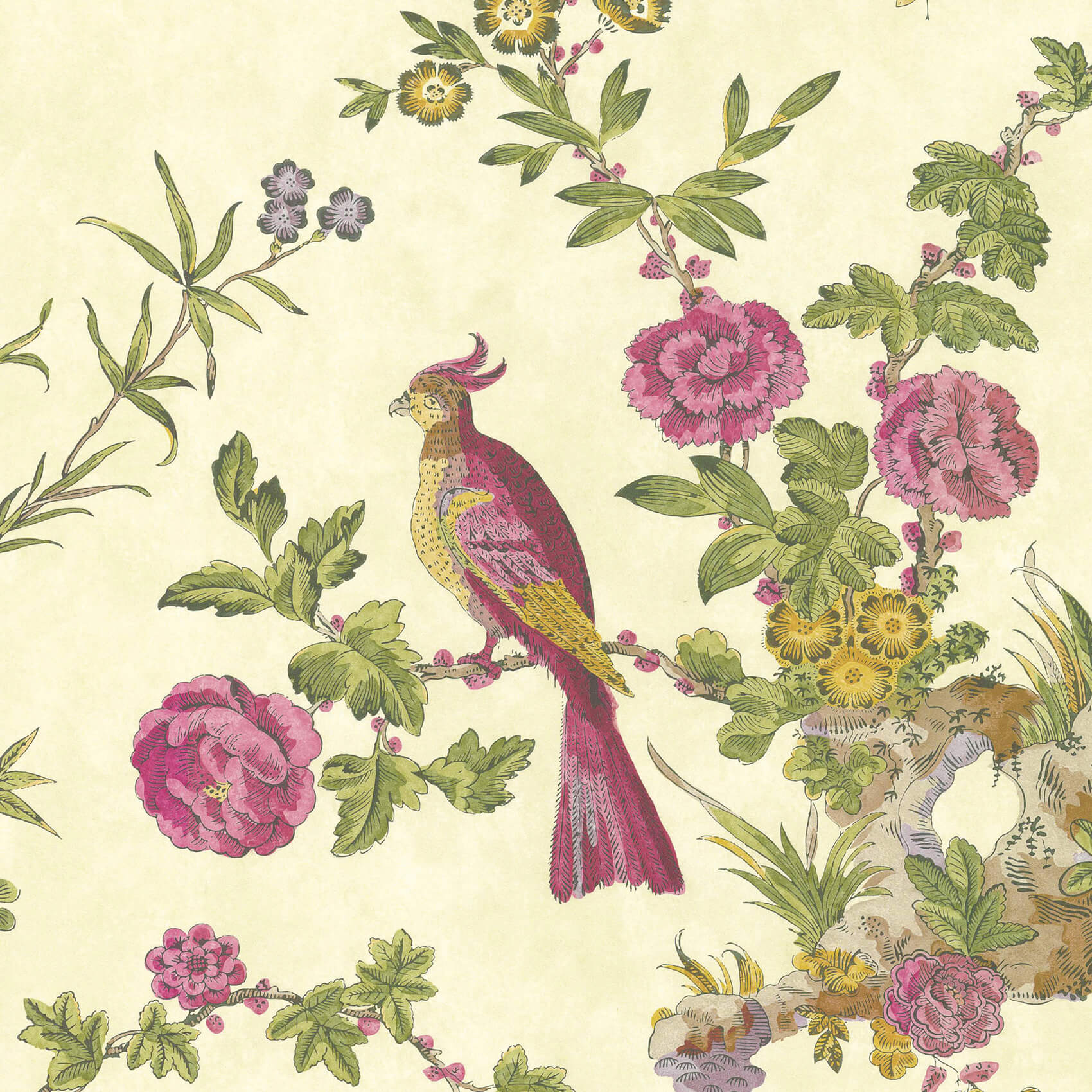 Little Green Darwin Jeune Behang