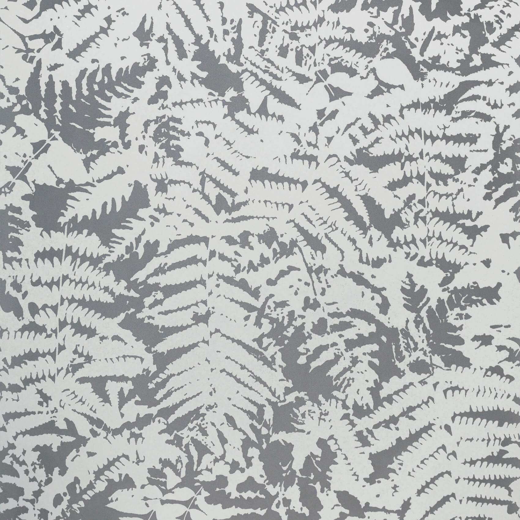 Little Green Fern Clearing